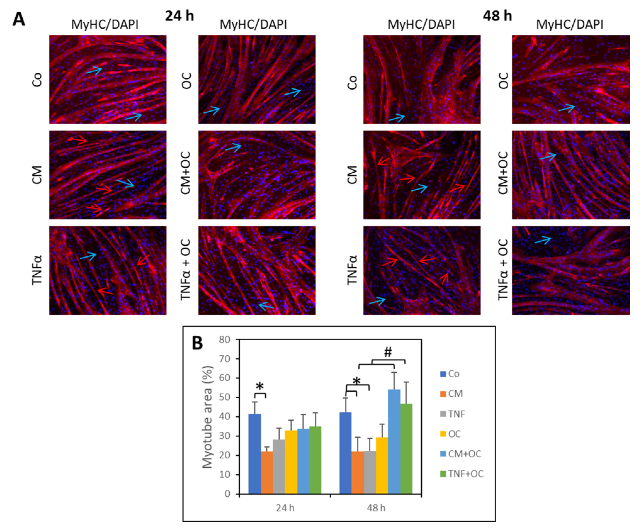 Nutrients 16 01302 g001