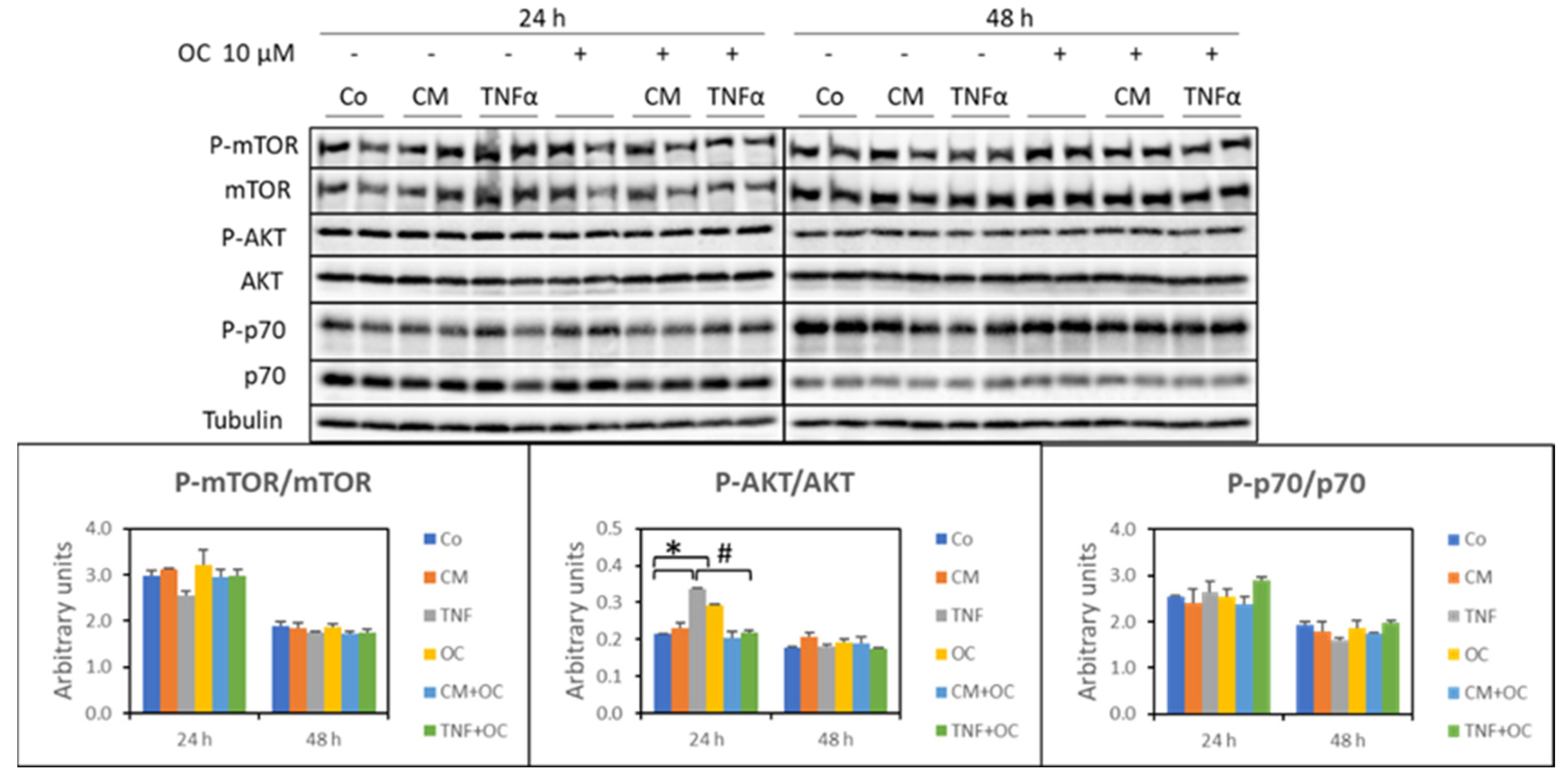 Nutrients 16 01302 g003