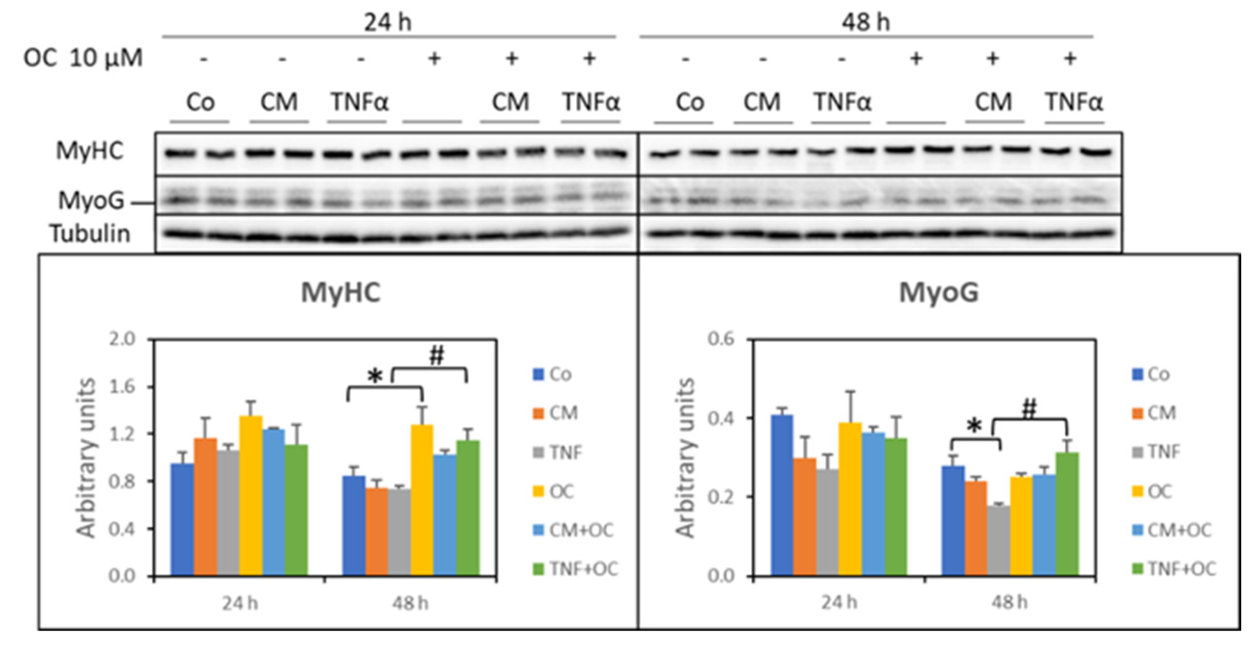 Nutrients 16 01302 g008