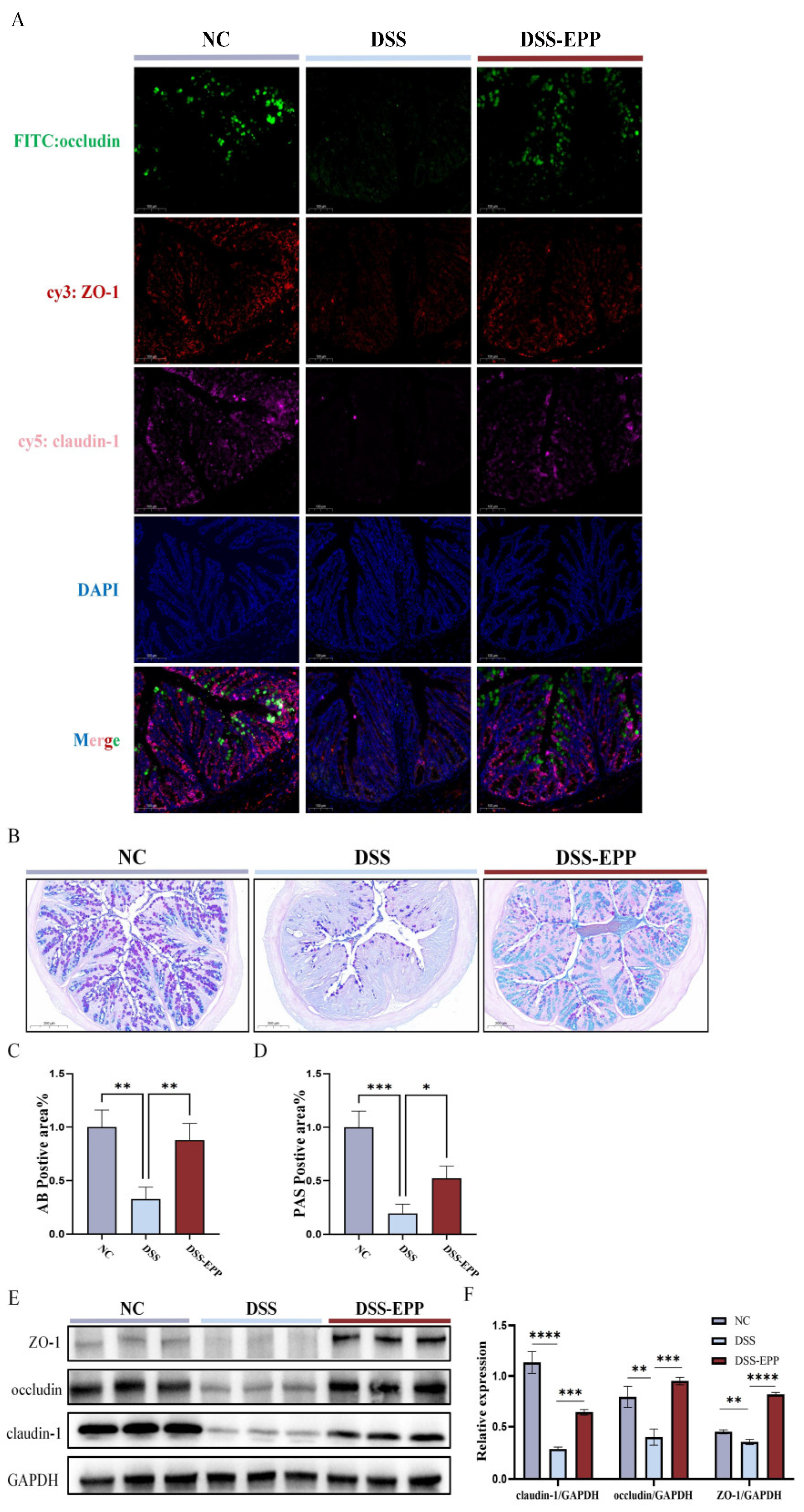Nutrients 16 01305 g005