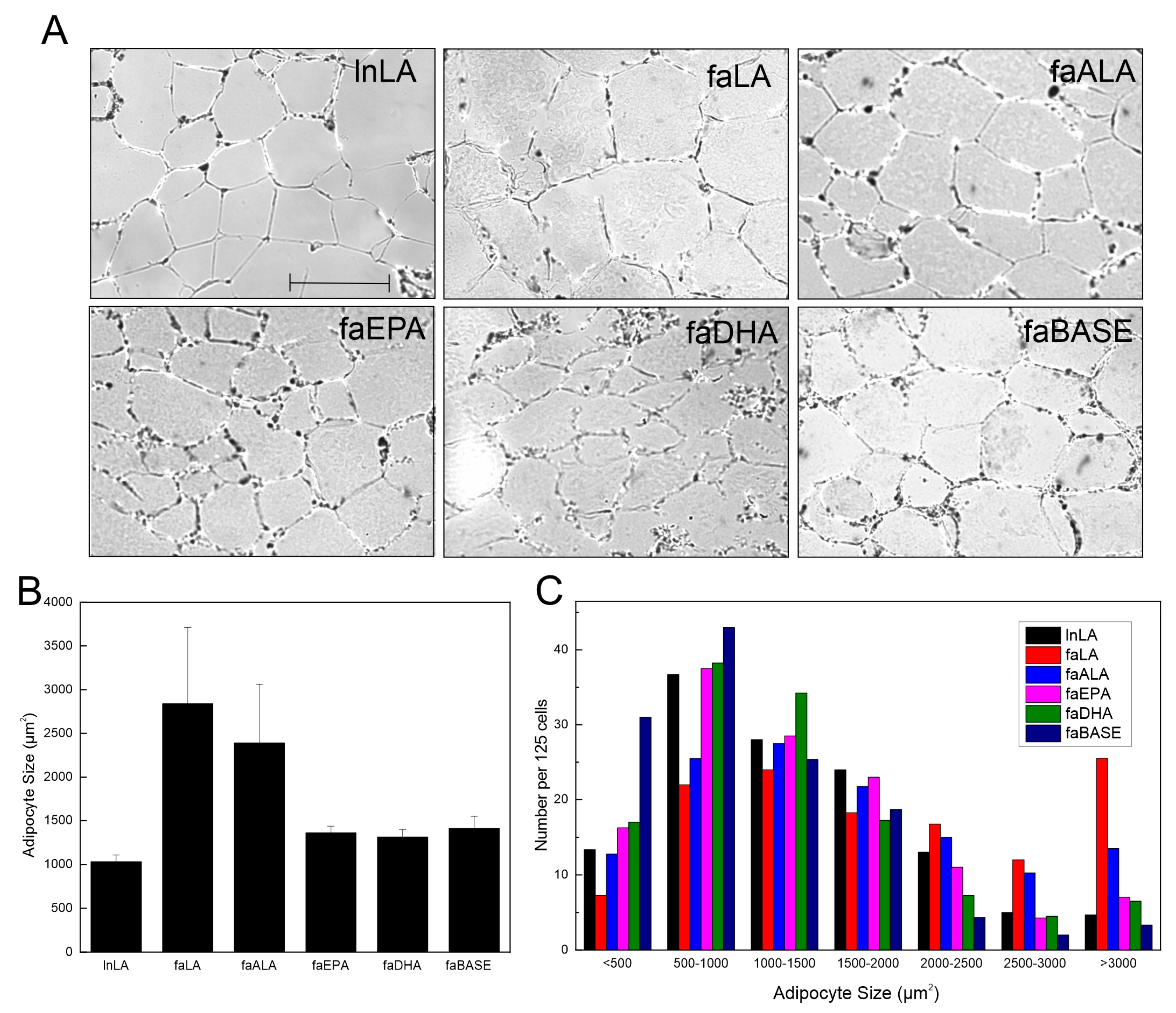 Nutrients 16 01311 g003