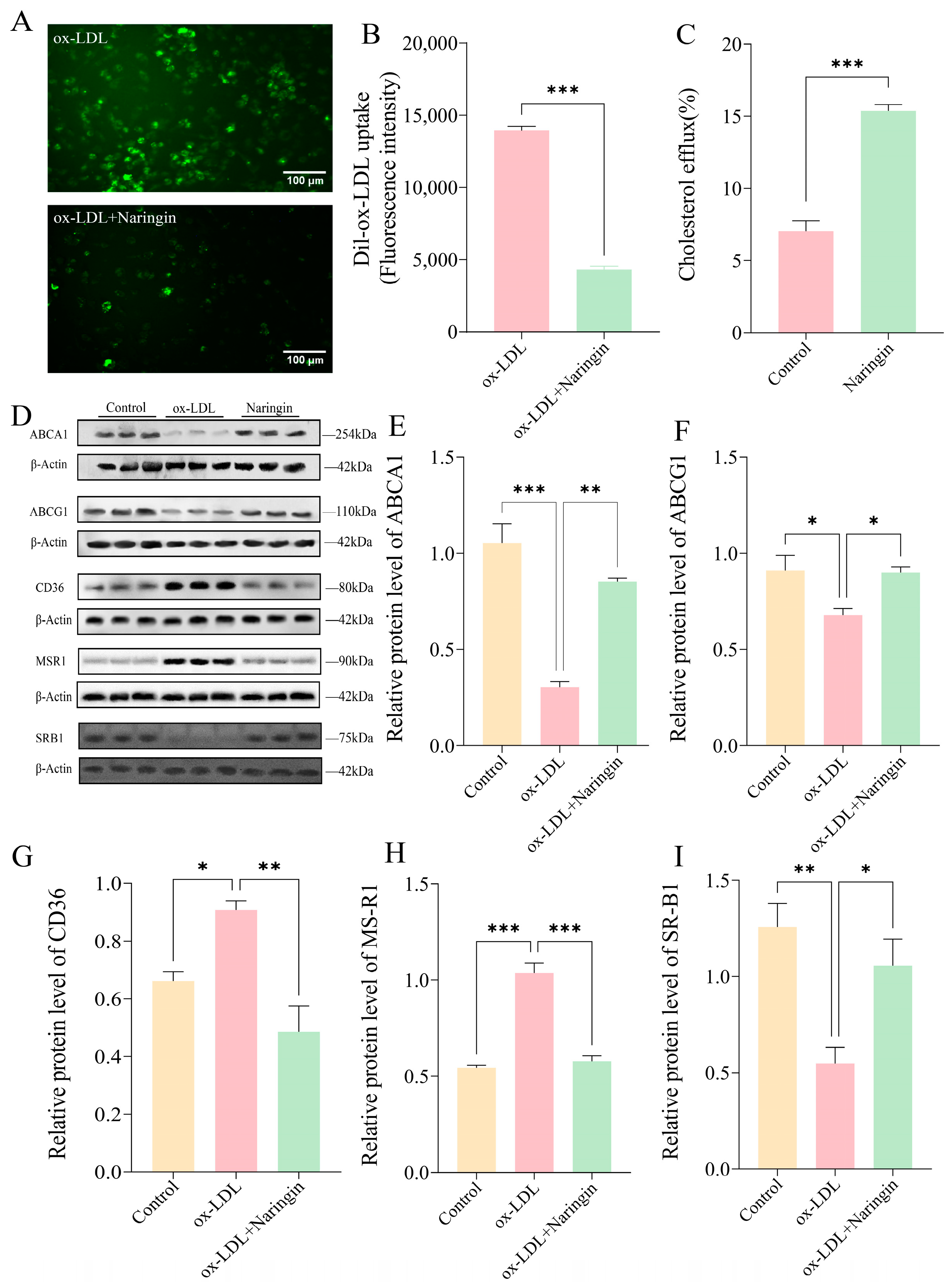 Nutrients 16 01321 g003