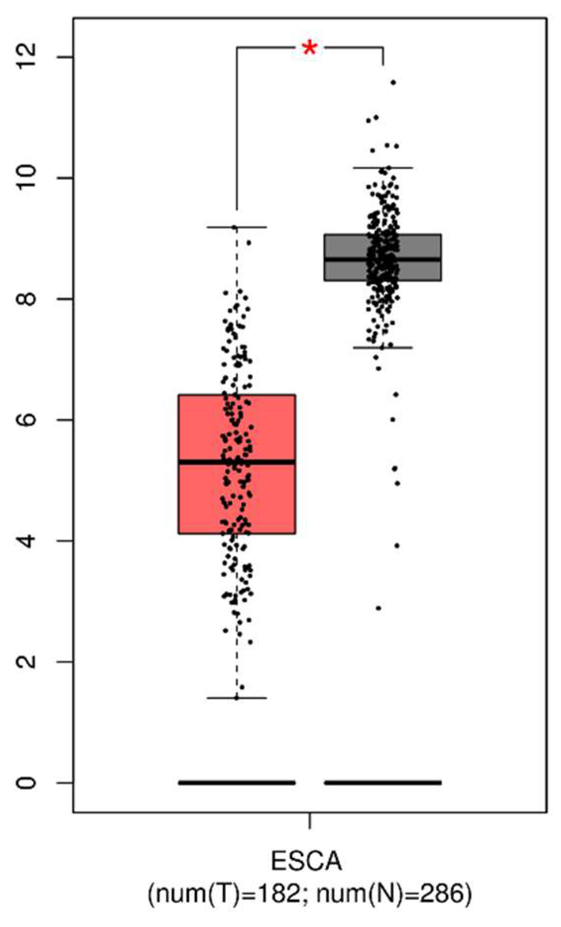 Nutrients 16 01322 g001