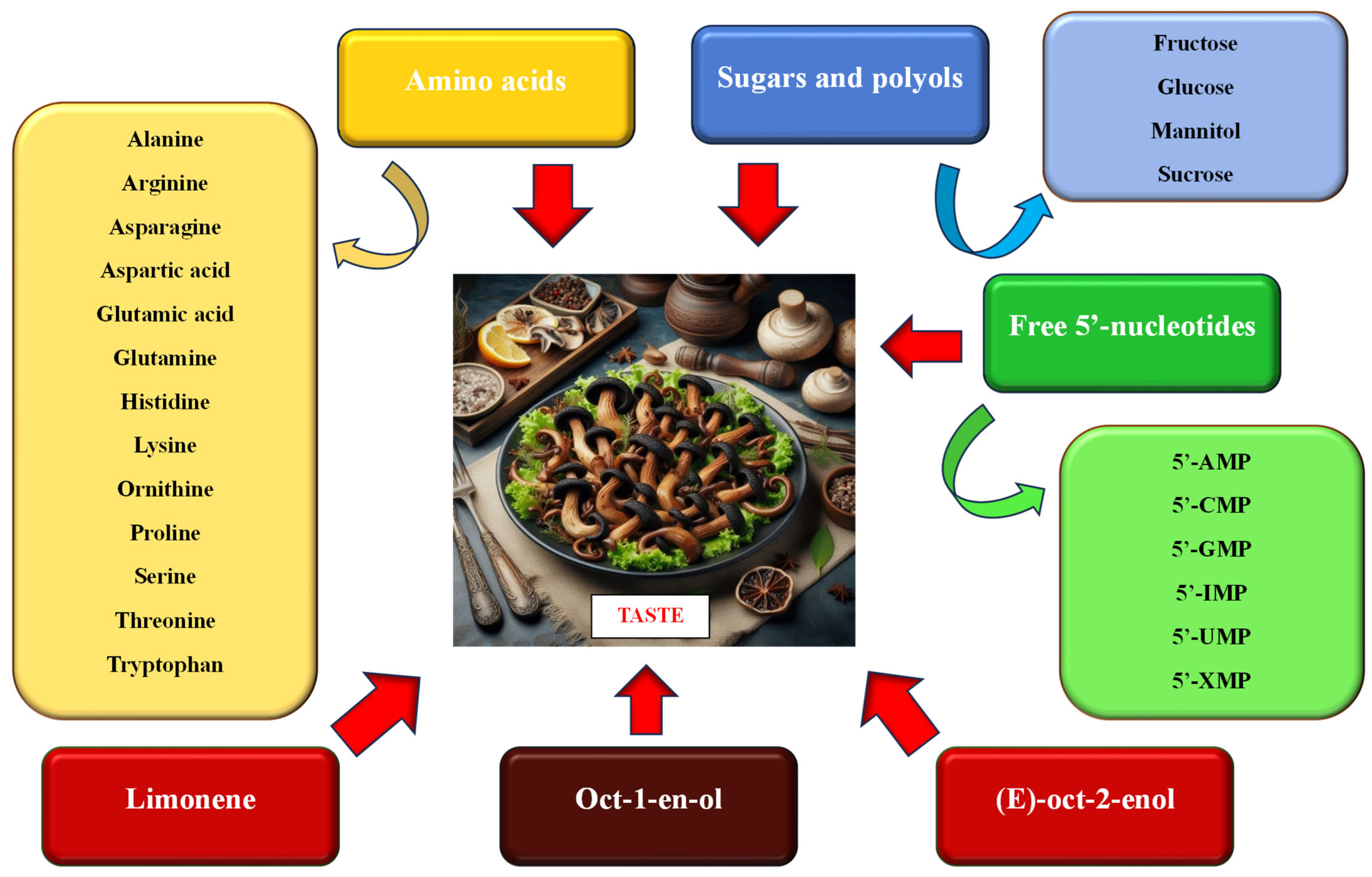 Nutrients 16 01325 g003