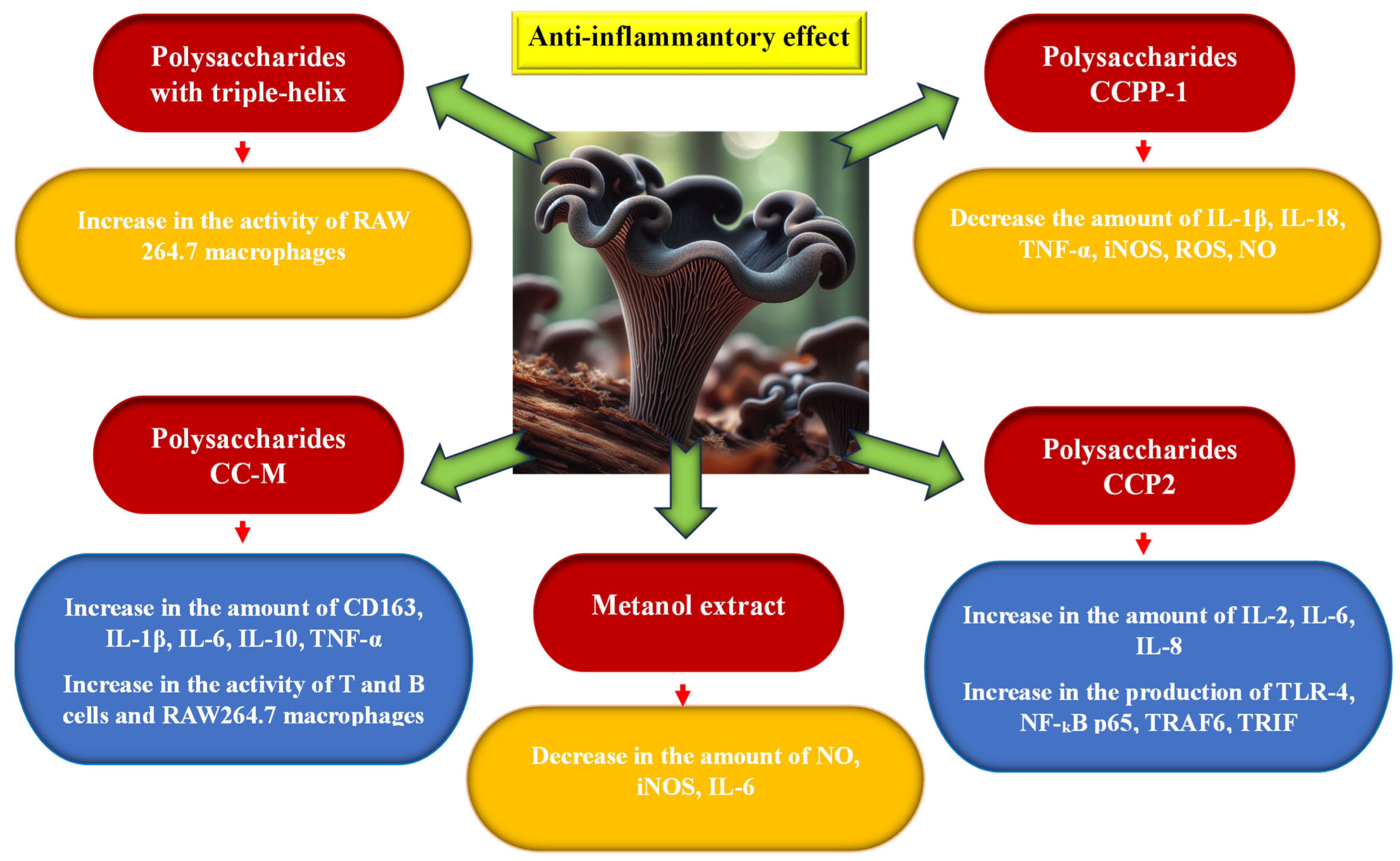 Nutrients 16 01325 g006