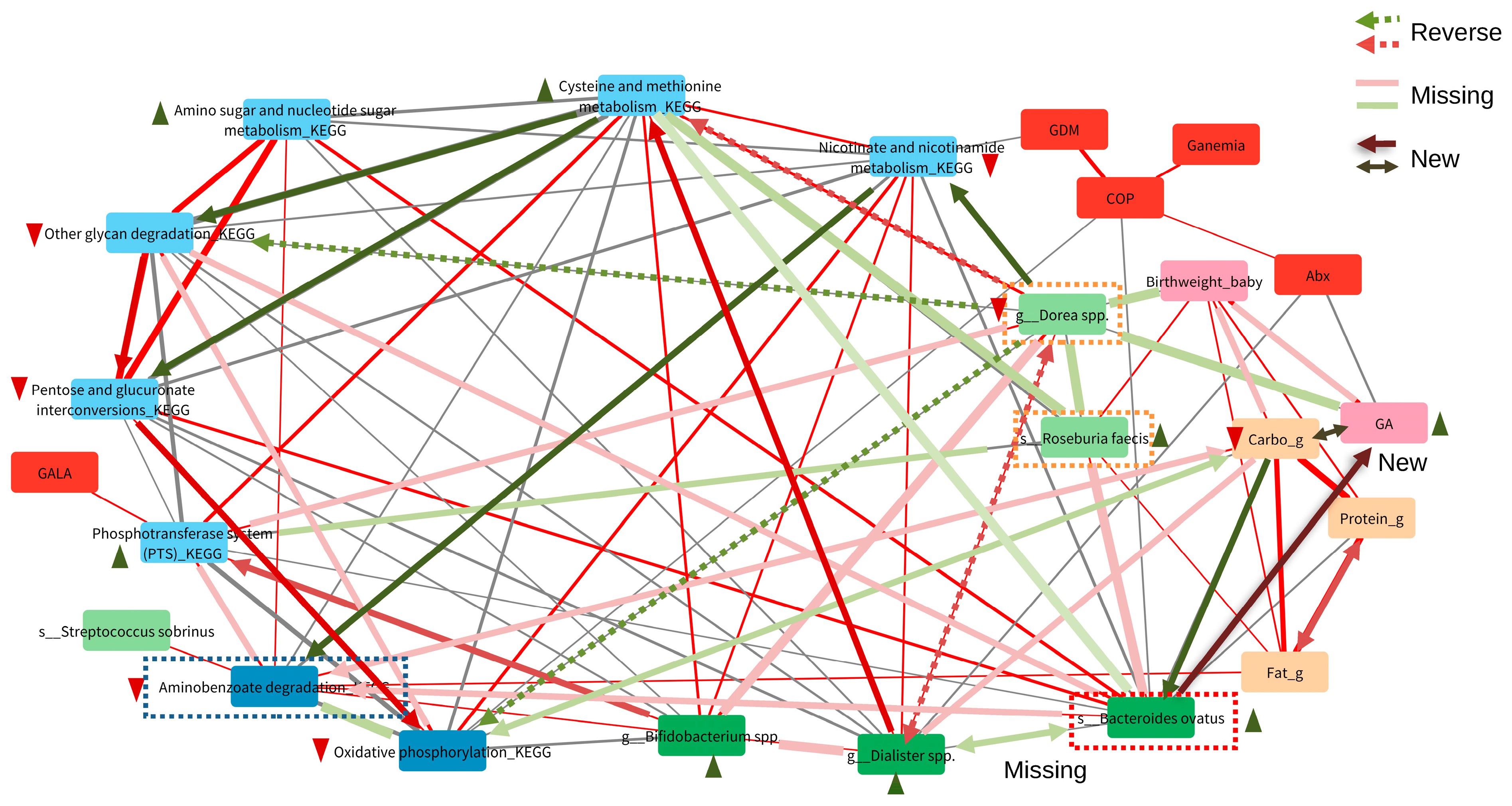 Nutrients 16 01326 g005