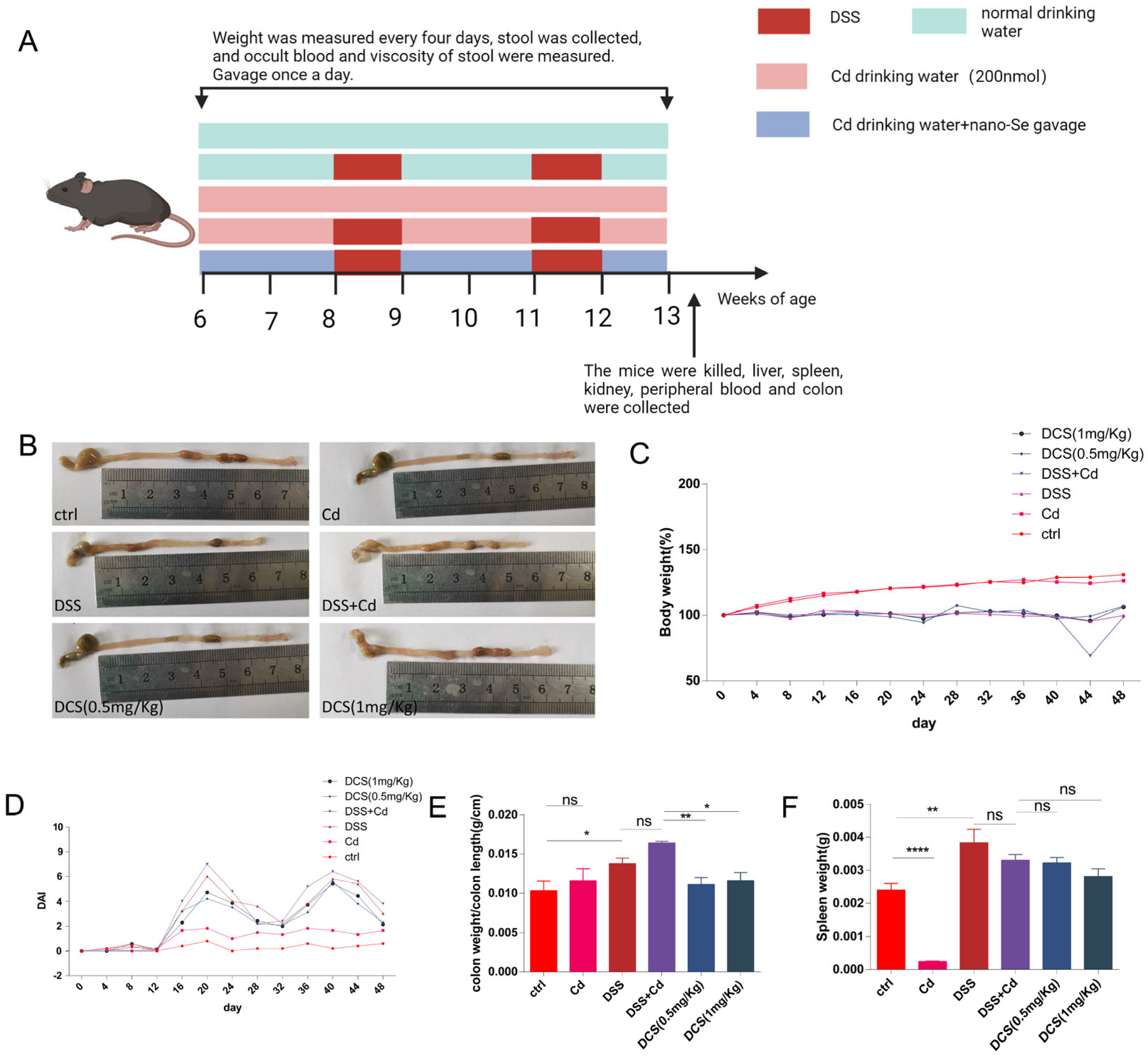 Nutrients 16 01330 g001