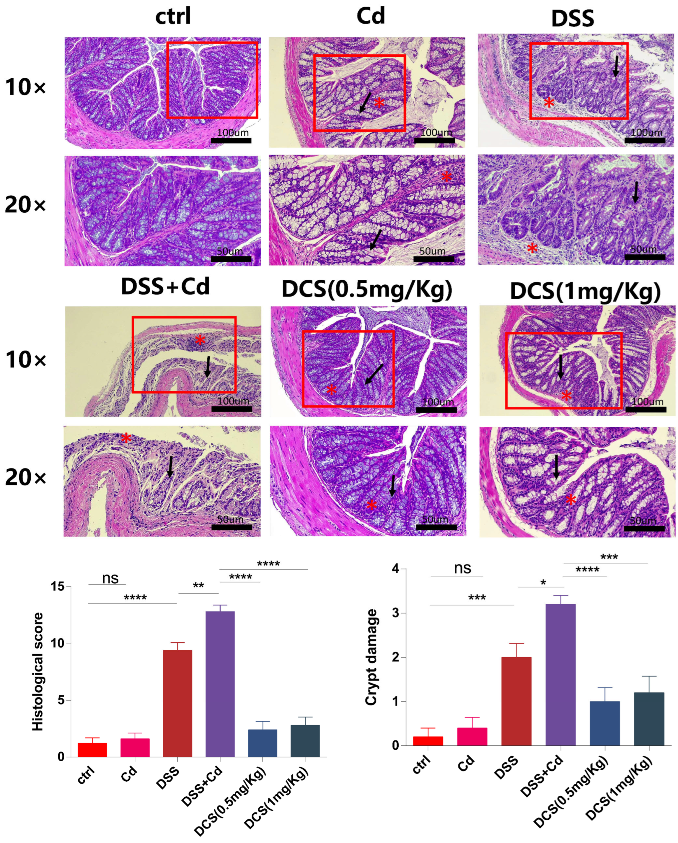 Nutrients 16 01330 g003