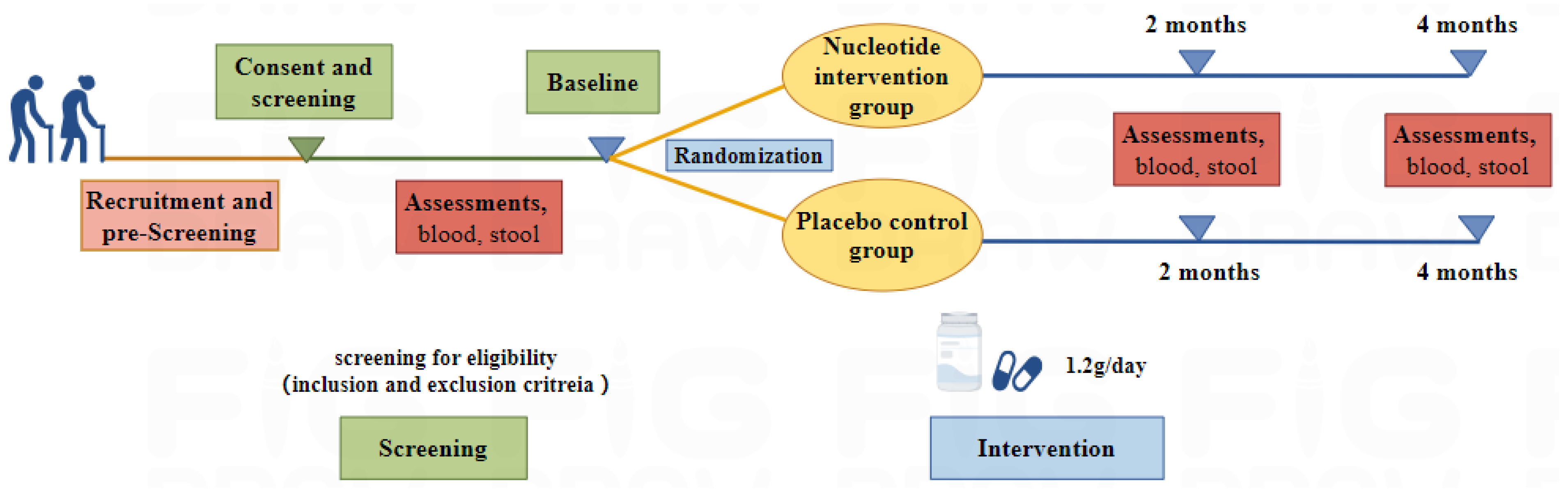 Nutrients 16 01343 g001
