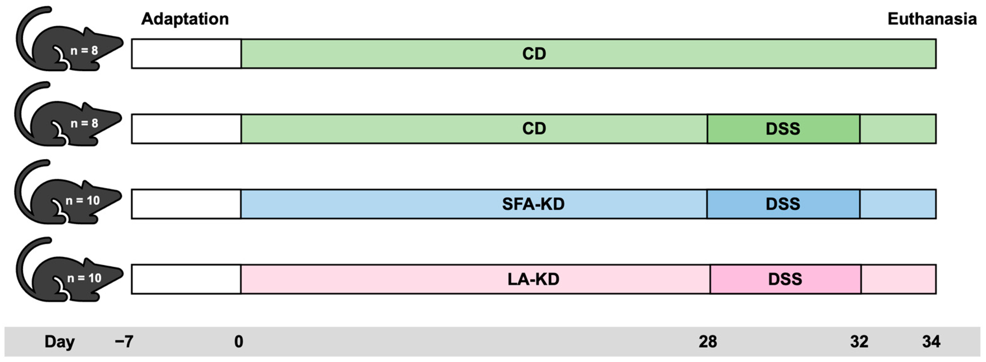 Nutrients 16 01348 g001