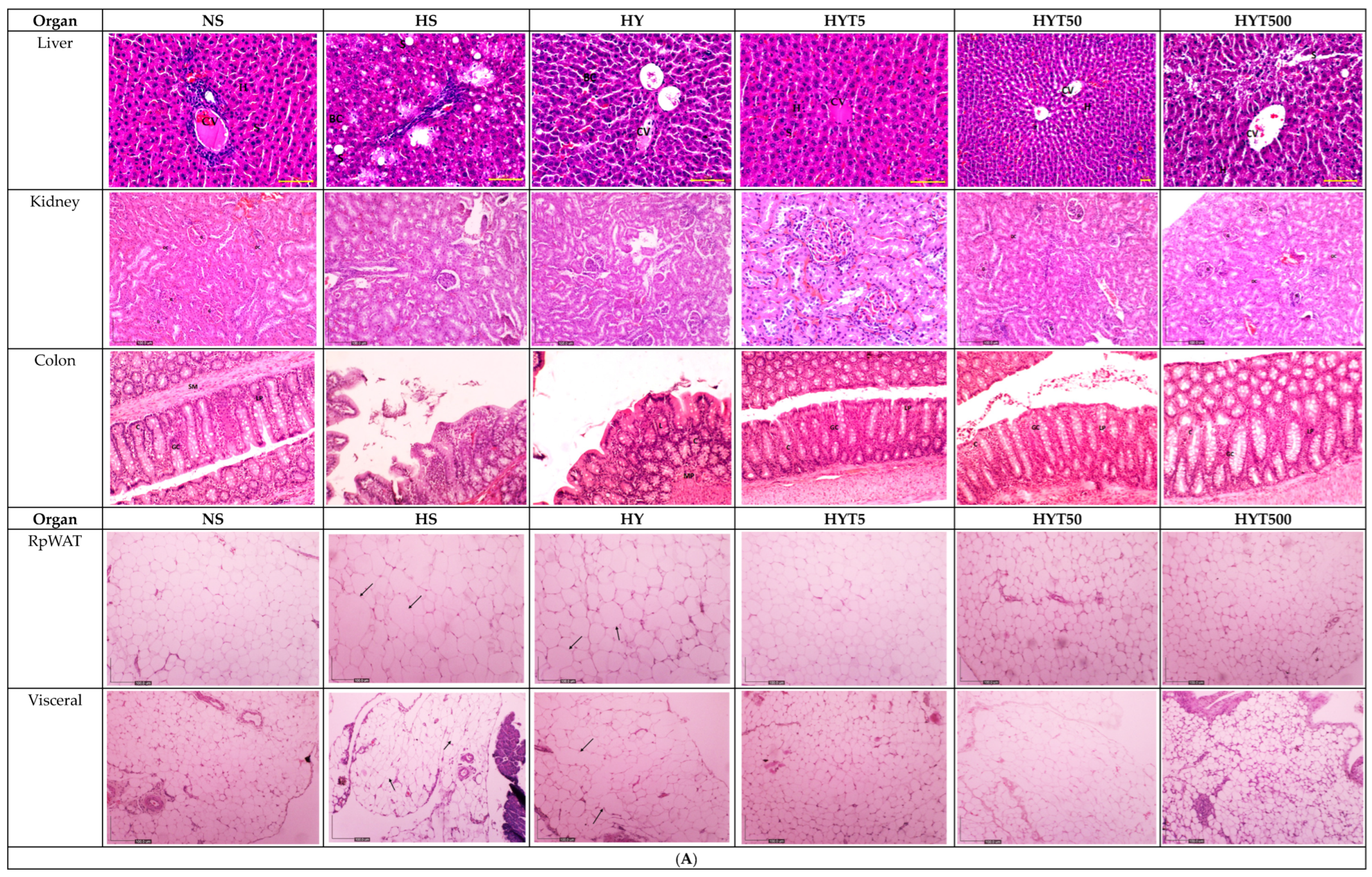 Nutrients 16 01356 g003a