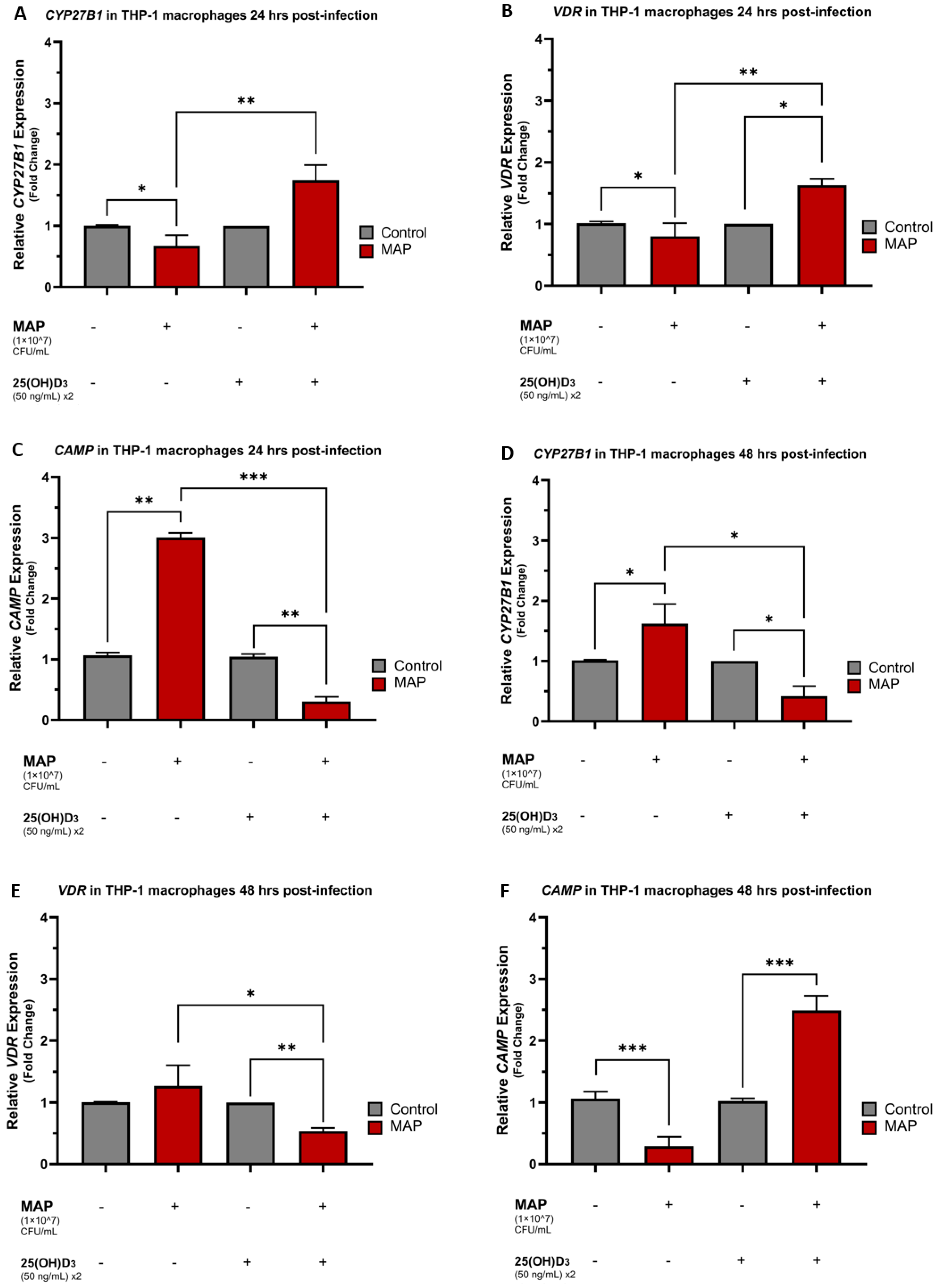 Nutrients 16 01358 g001 Nutrients 16 01358 g001