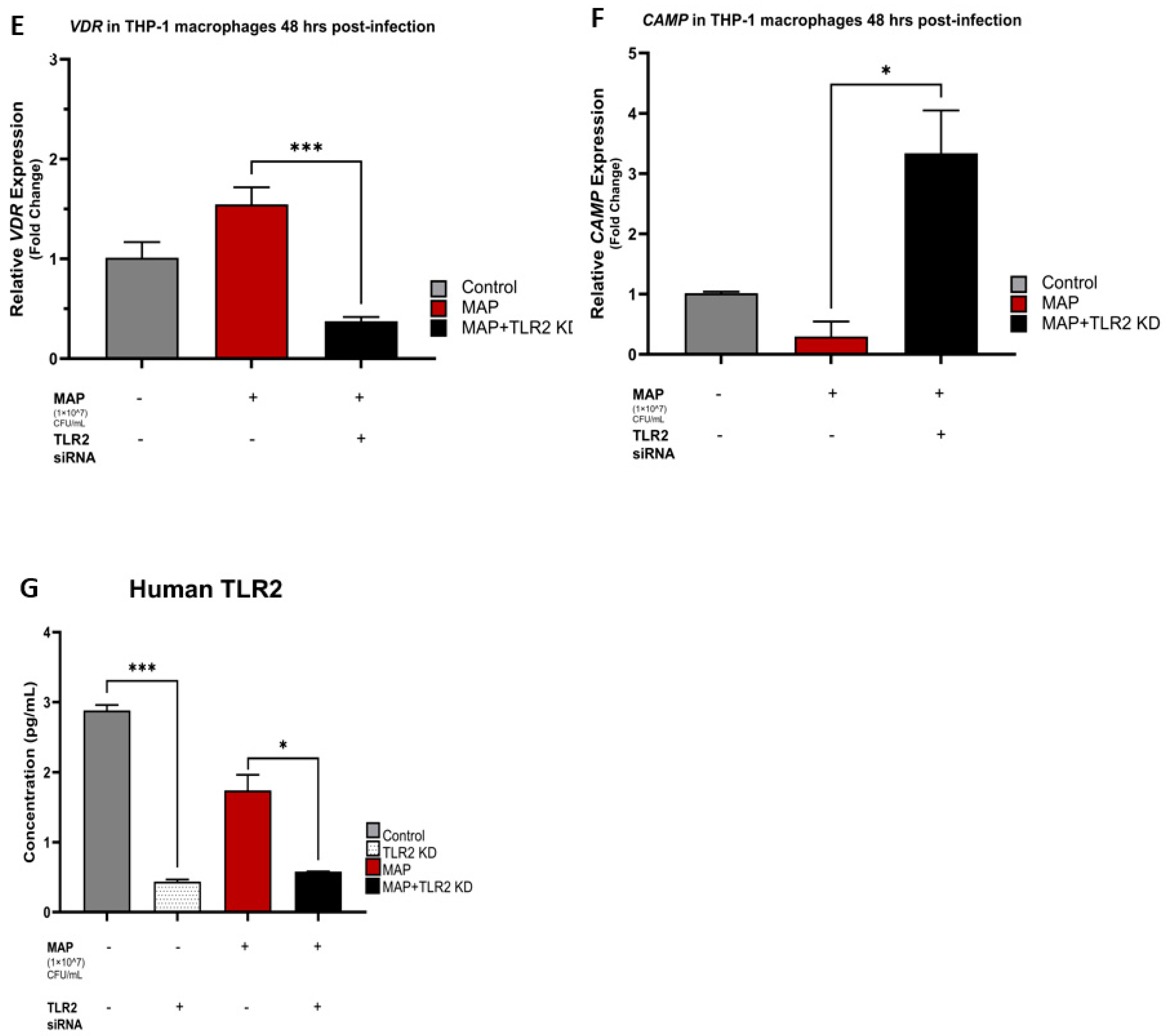 Nutrients 16 01358 g002b Nutrients 16 01358 g002b