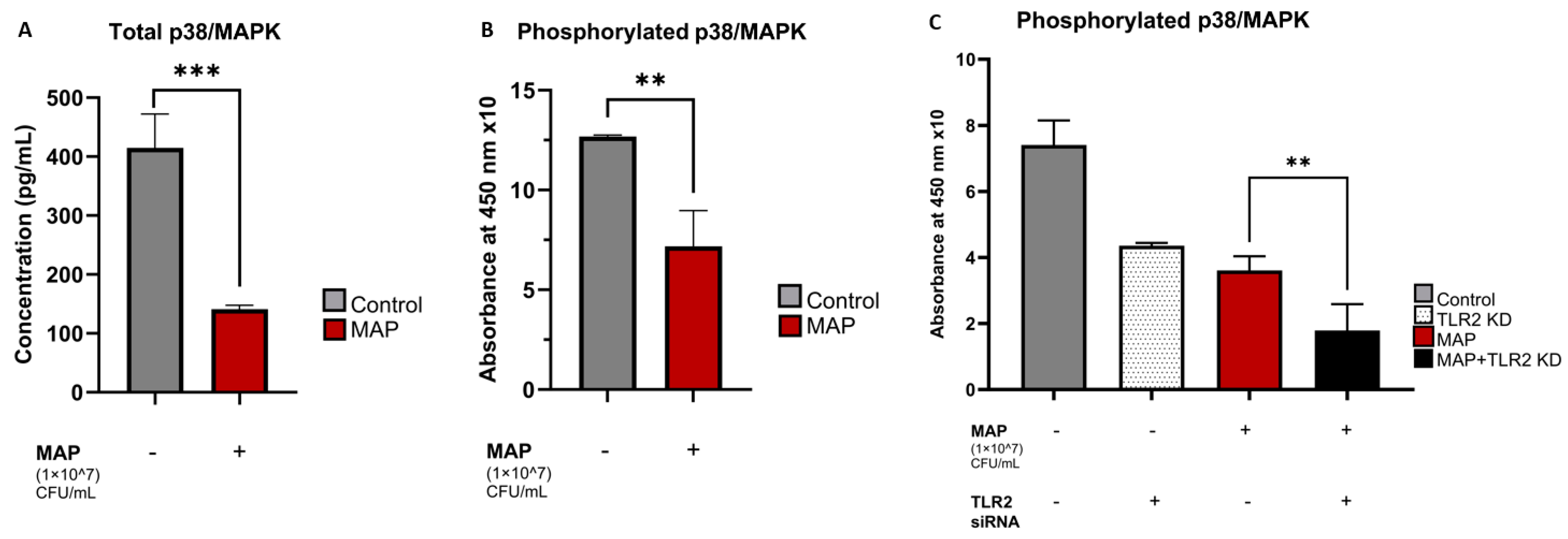 Nutrients 16 01358 g003 Nutrients 16 01358 g003