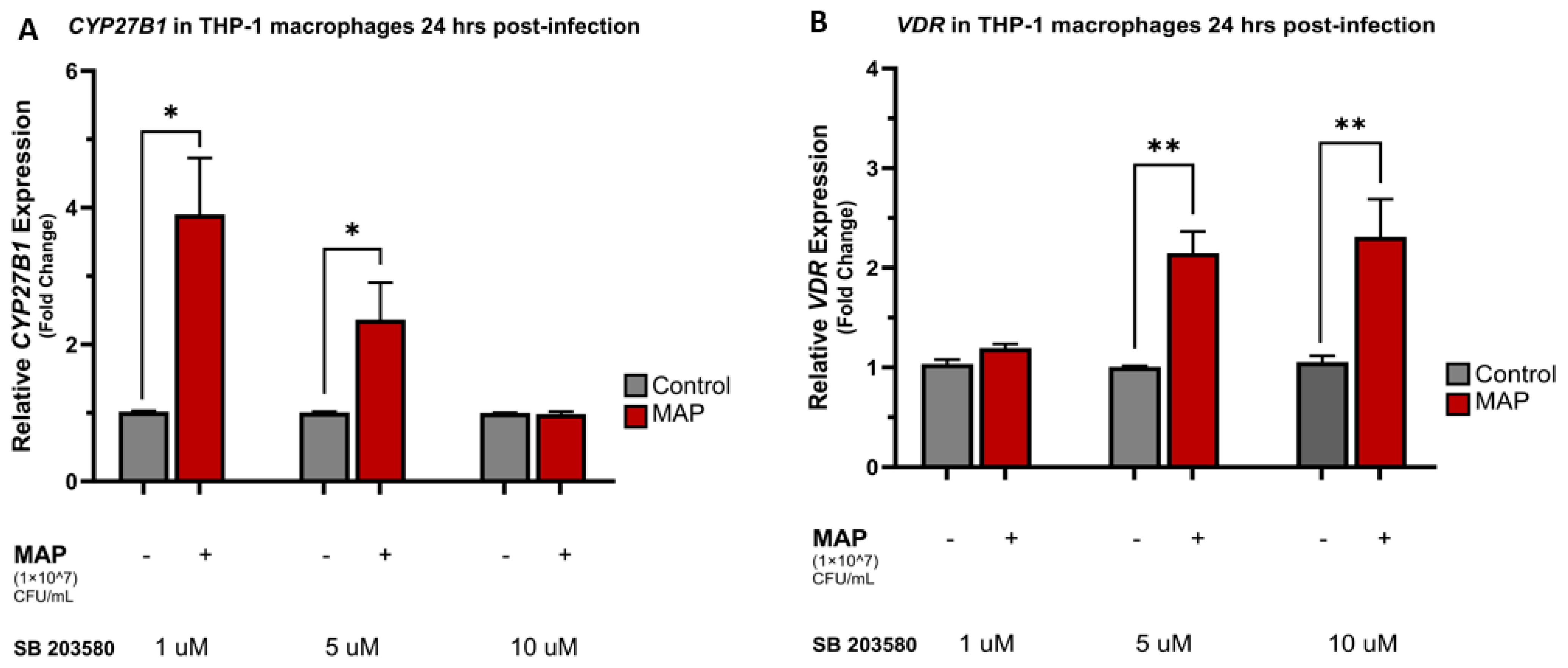 Nutrients 16 01358 g004a Nutrients 16 01358 g004a