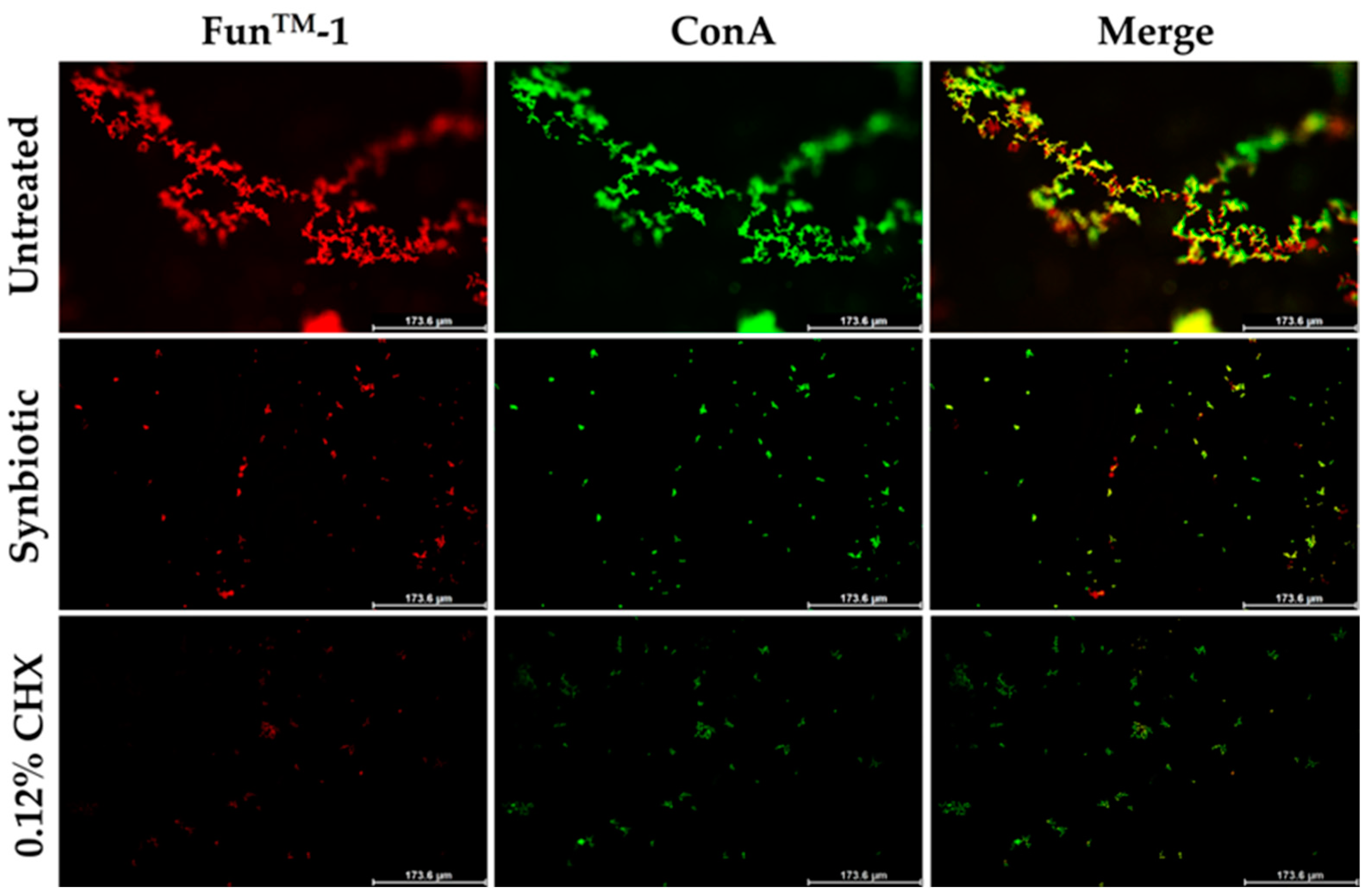 Nutrients 16 01372 g007