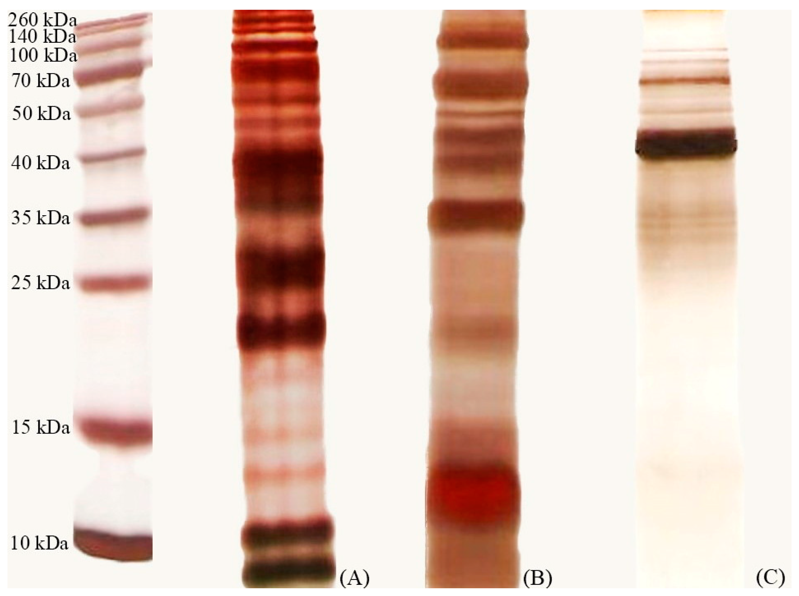 Nutrients 16 01372 g008