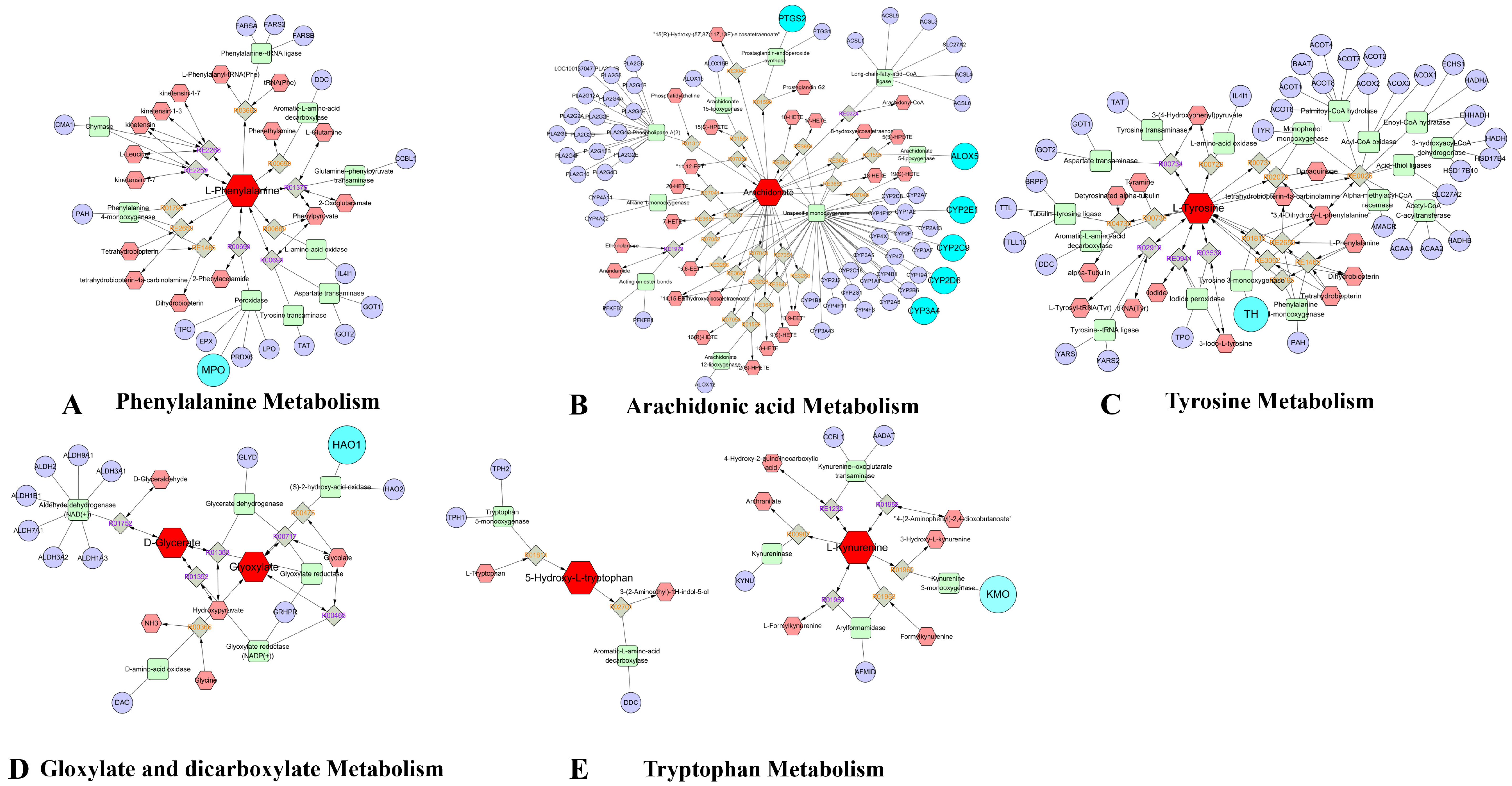 Nutrients 16 01376 g005