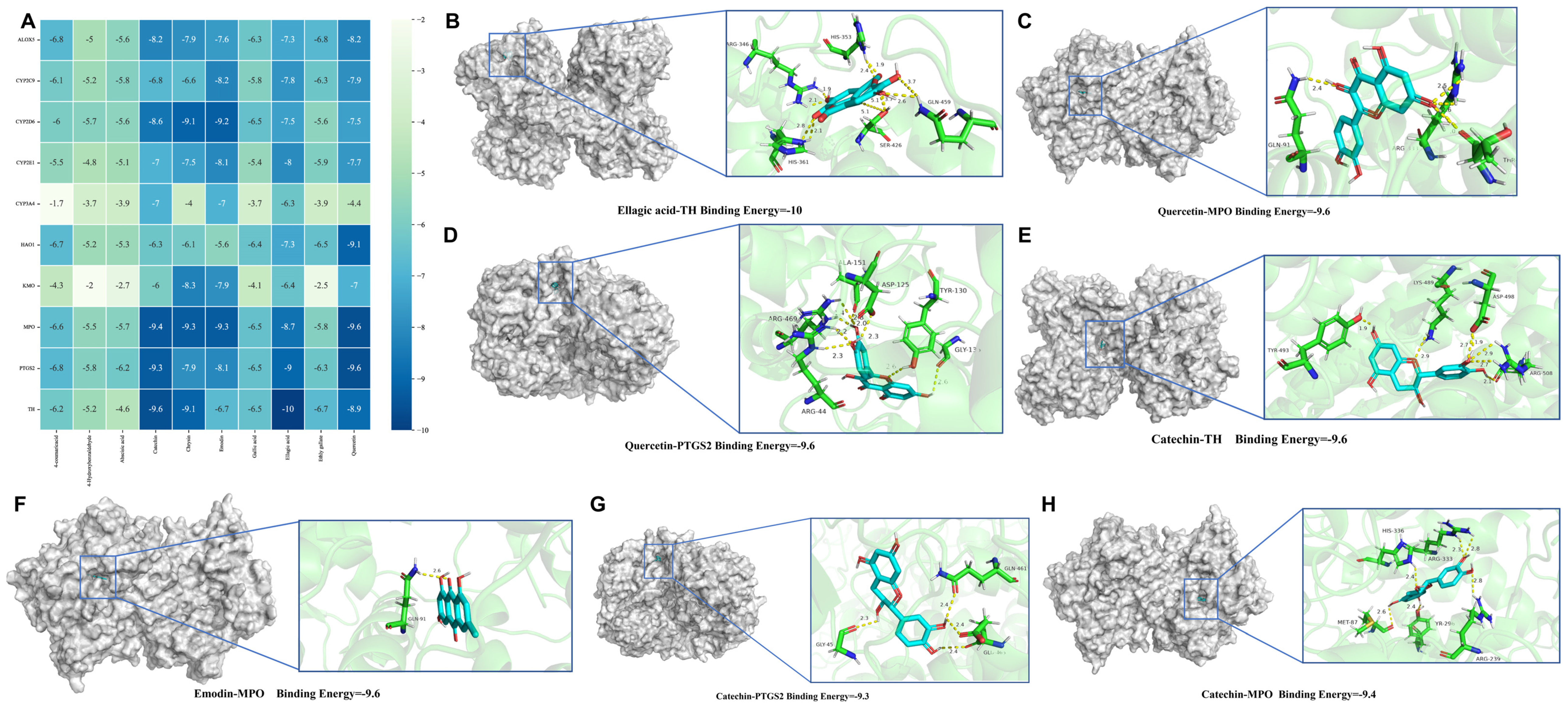 Nutrients 16 01376 g006