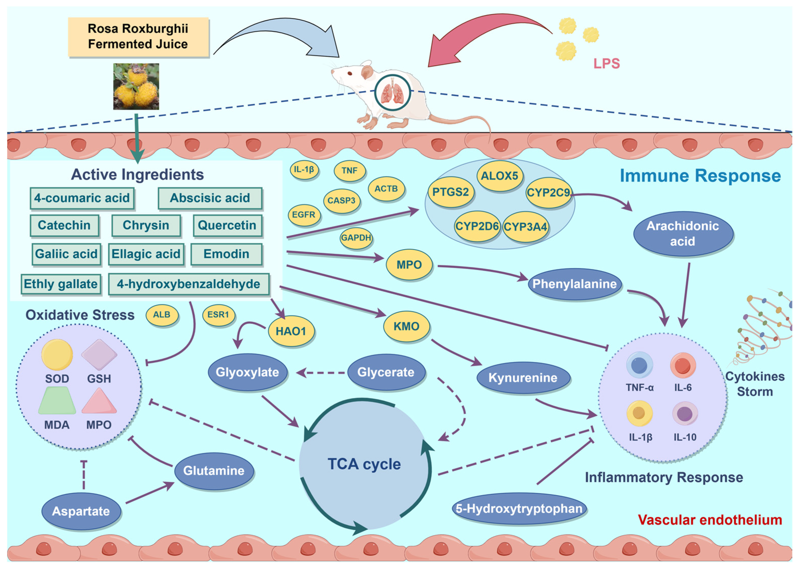 Nutrients 16 01376 g007