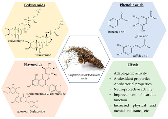 Yー1専用 005K06790 - One-Way Clutch Pulley (Black) for Xerox® 4110 style