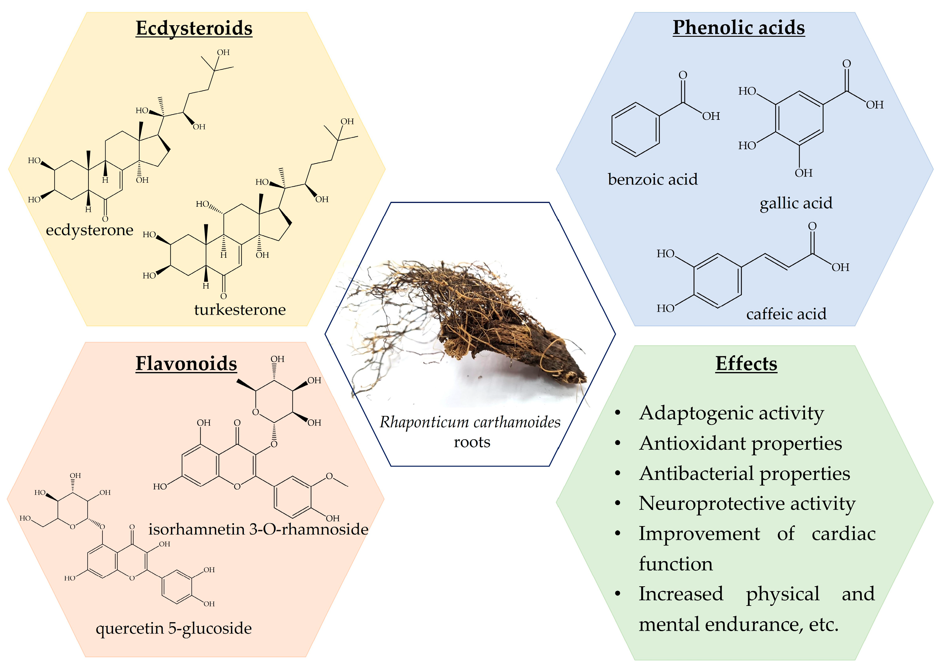 Nutrients 16 01382 g002