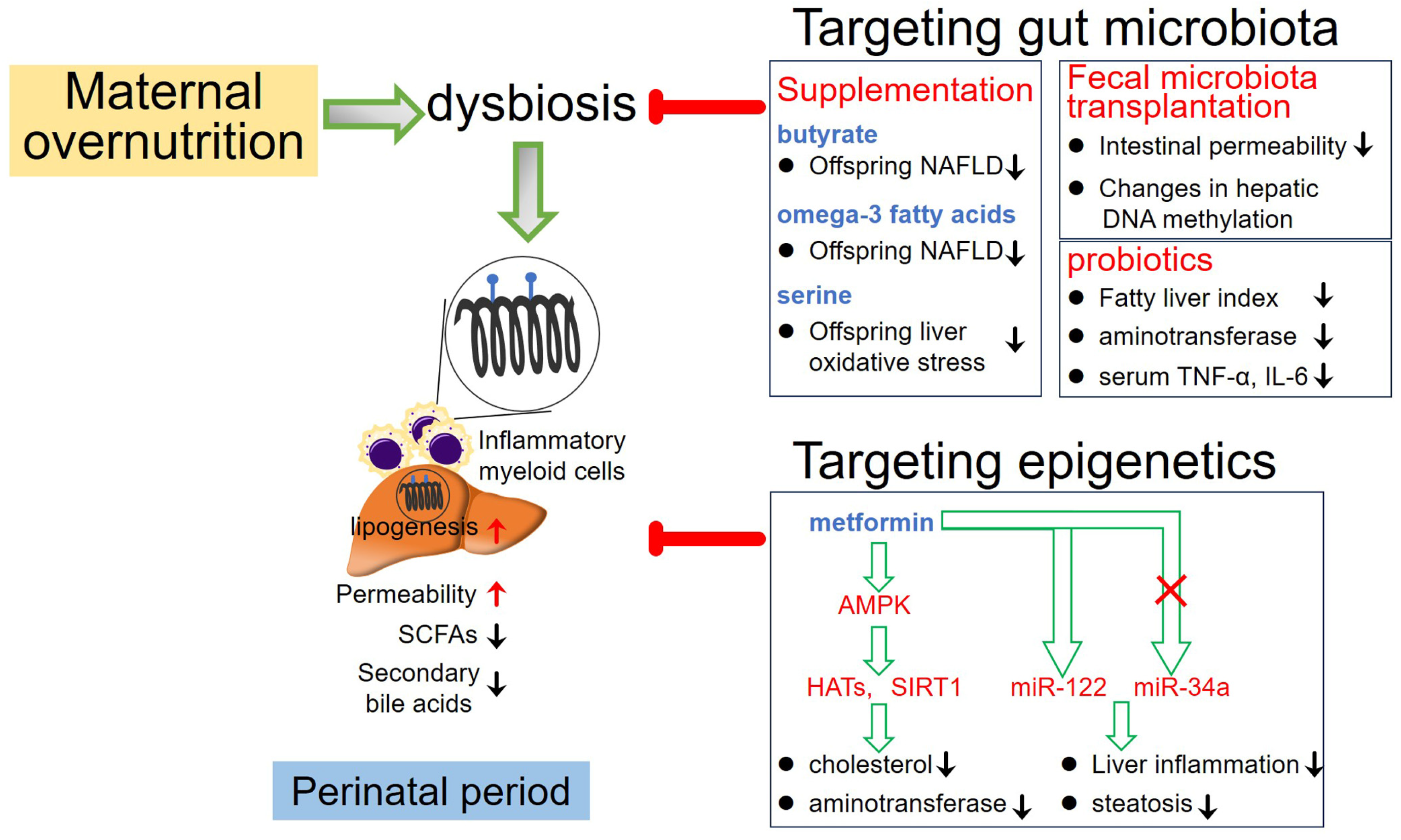 Nutrients 16 01388 g002 Nutrients 16 01388 g002
