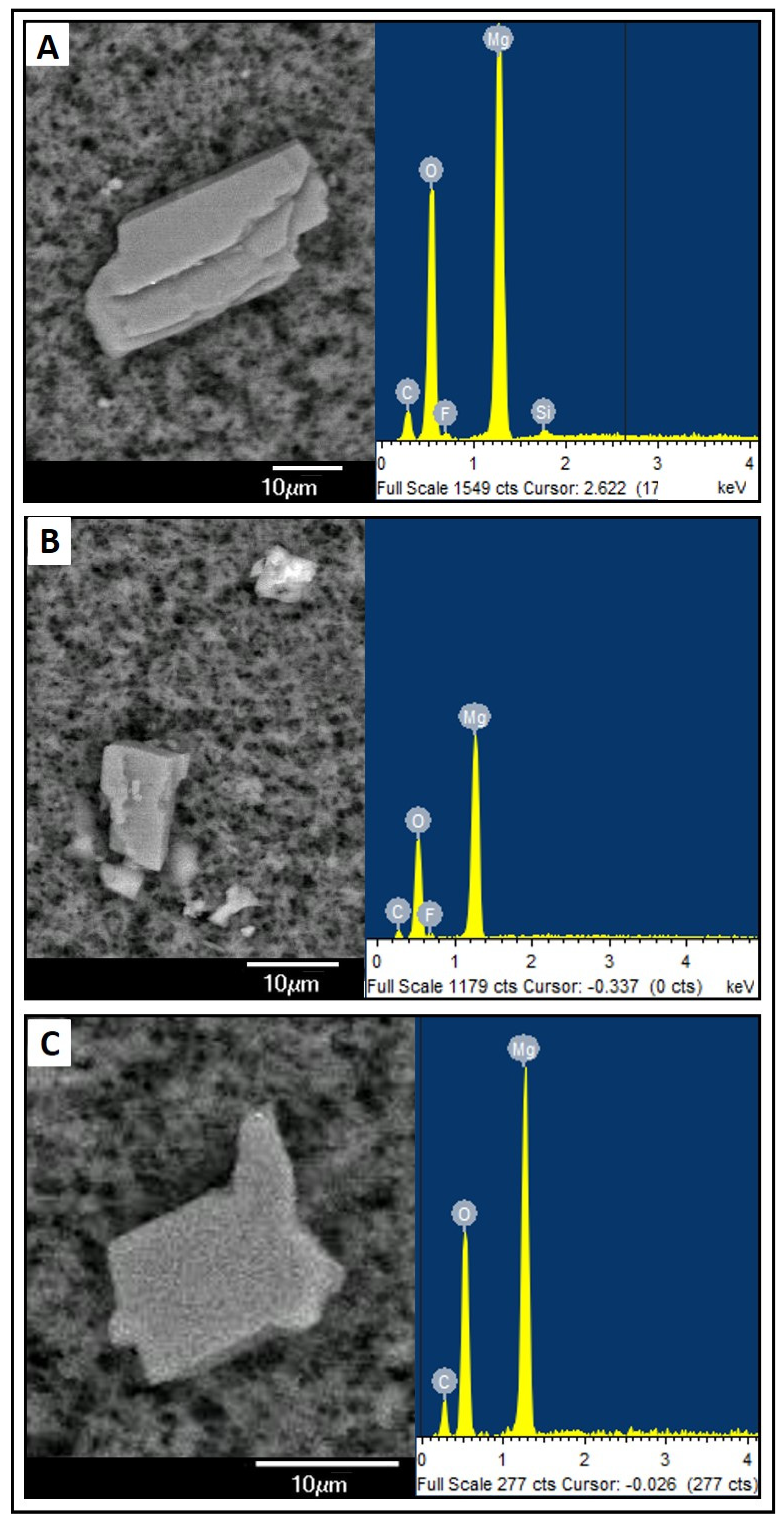 Nutrients 16 01390 g002