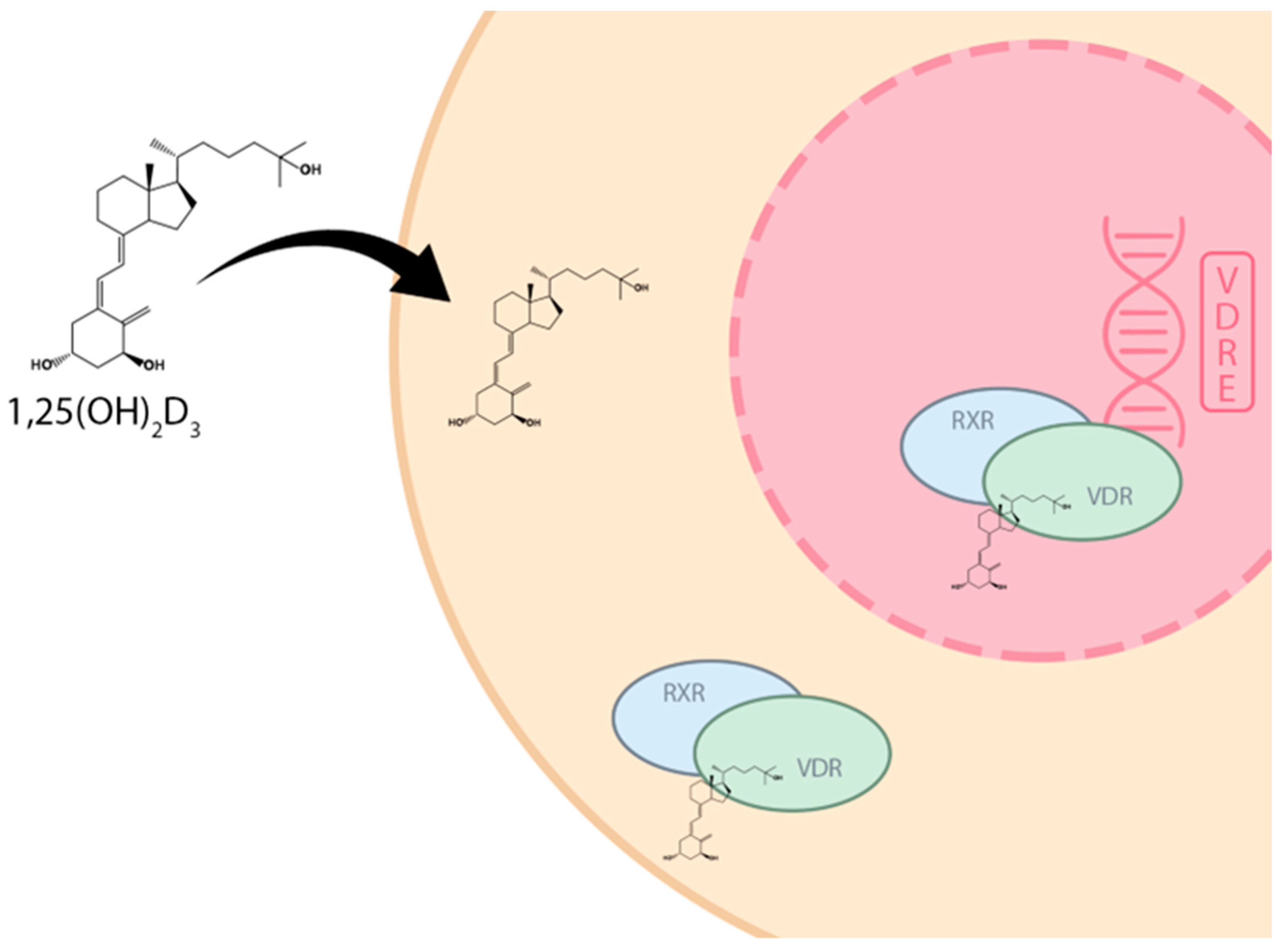 Nutrients 16 01392 g002