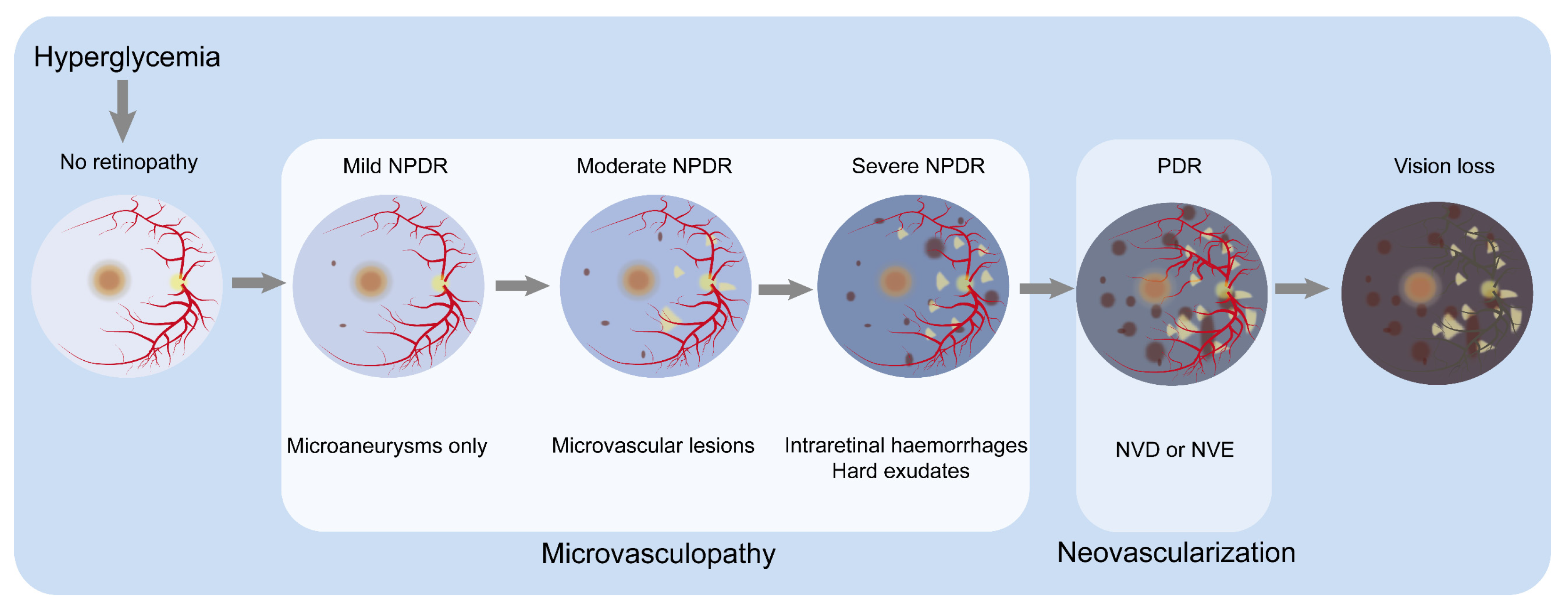 Nutrients 16 01393 g001