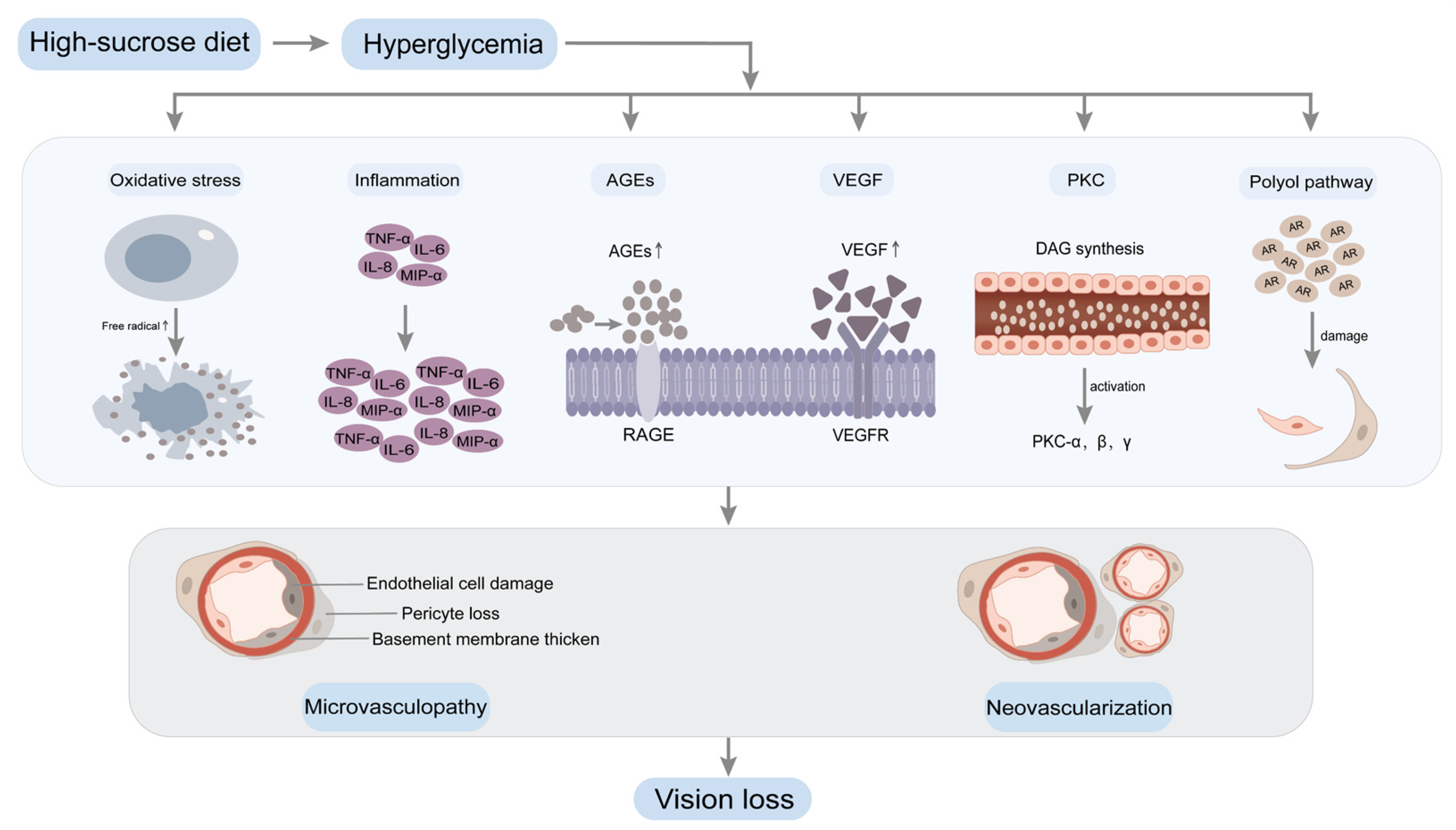 Nutrients 16 01393 g002