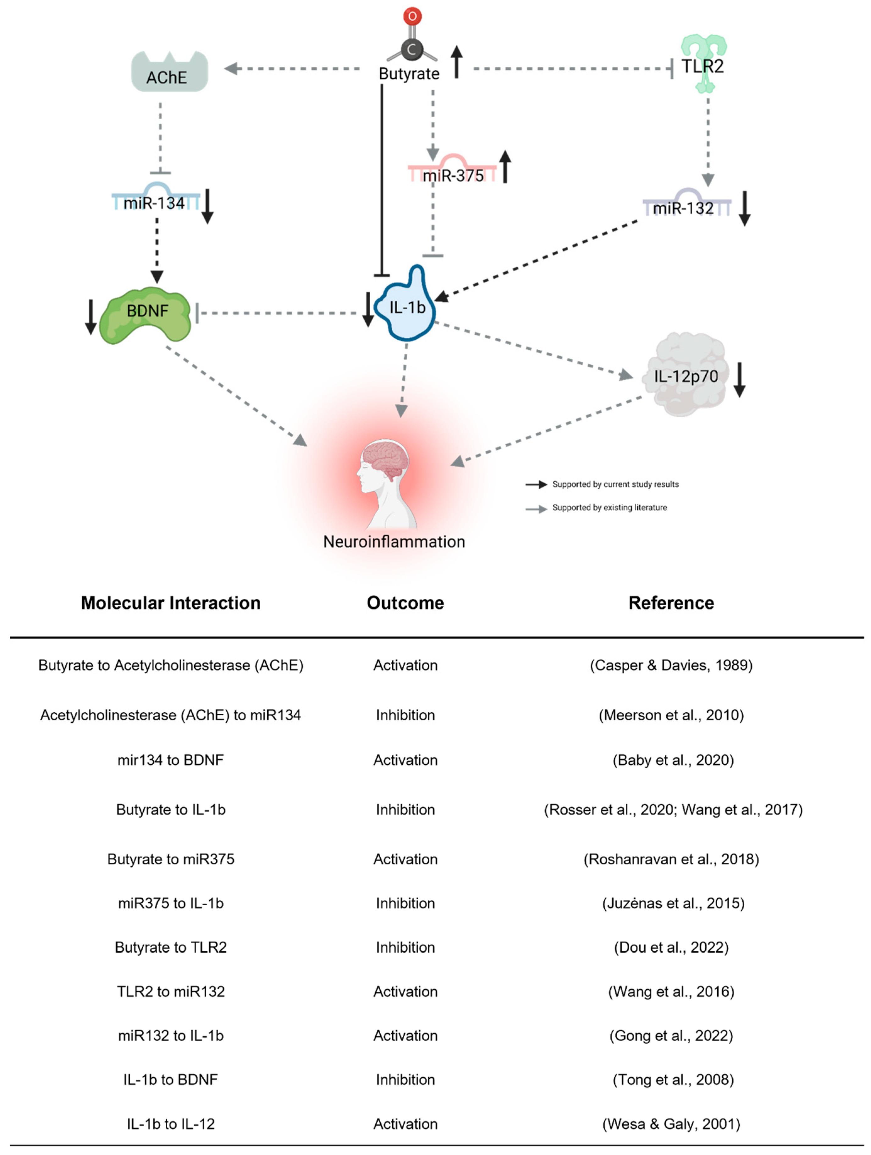 Nutrients 16 01401 g005