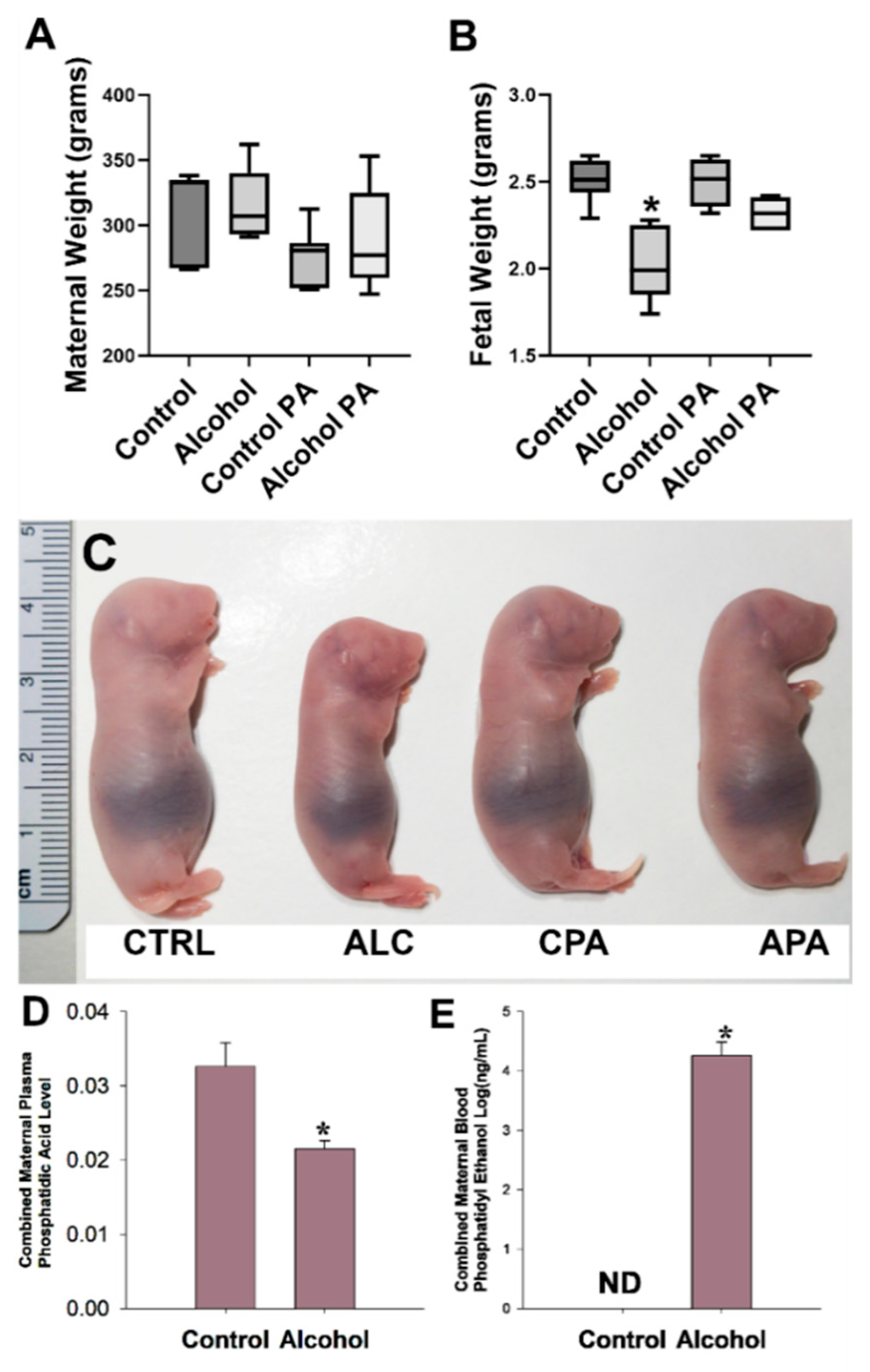 Nutrients 16 01409 g001