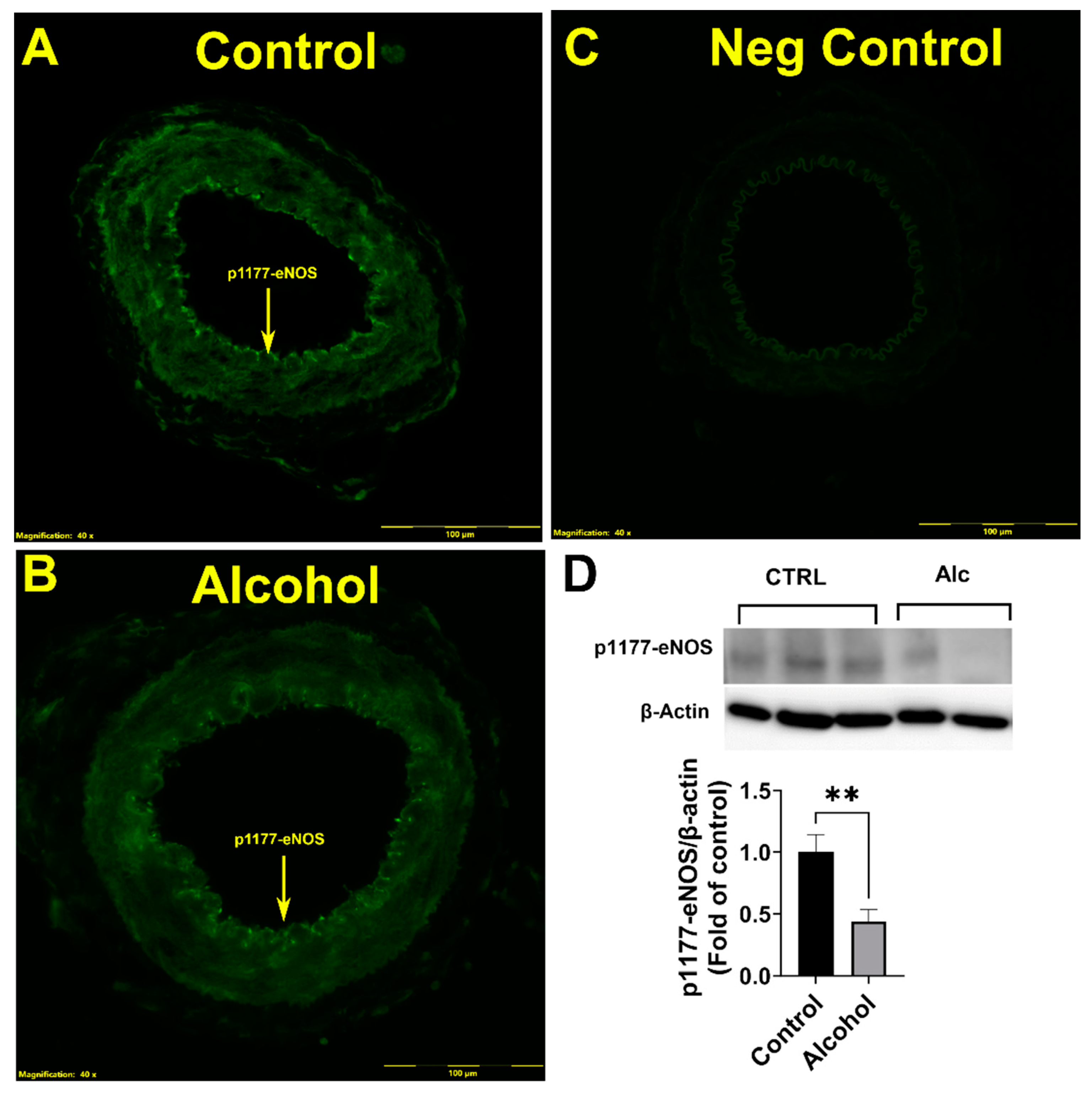 Nutrients 16 01409 g003