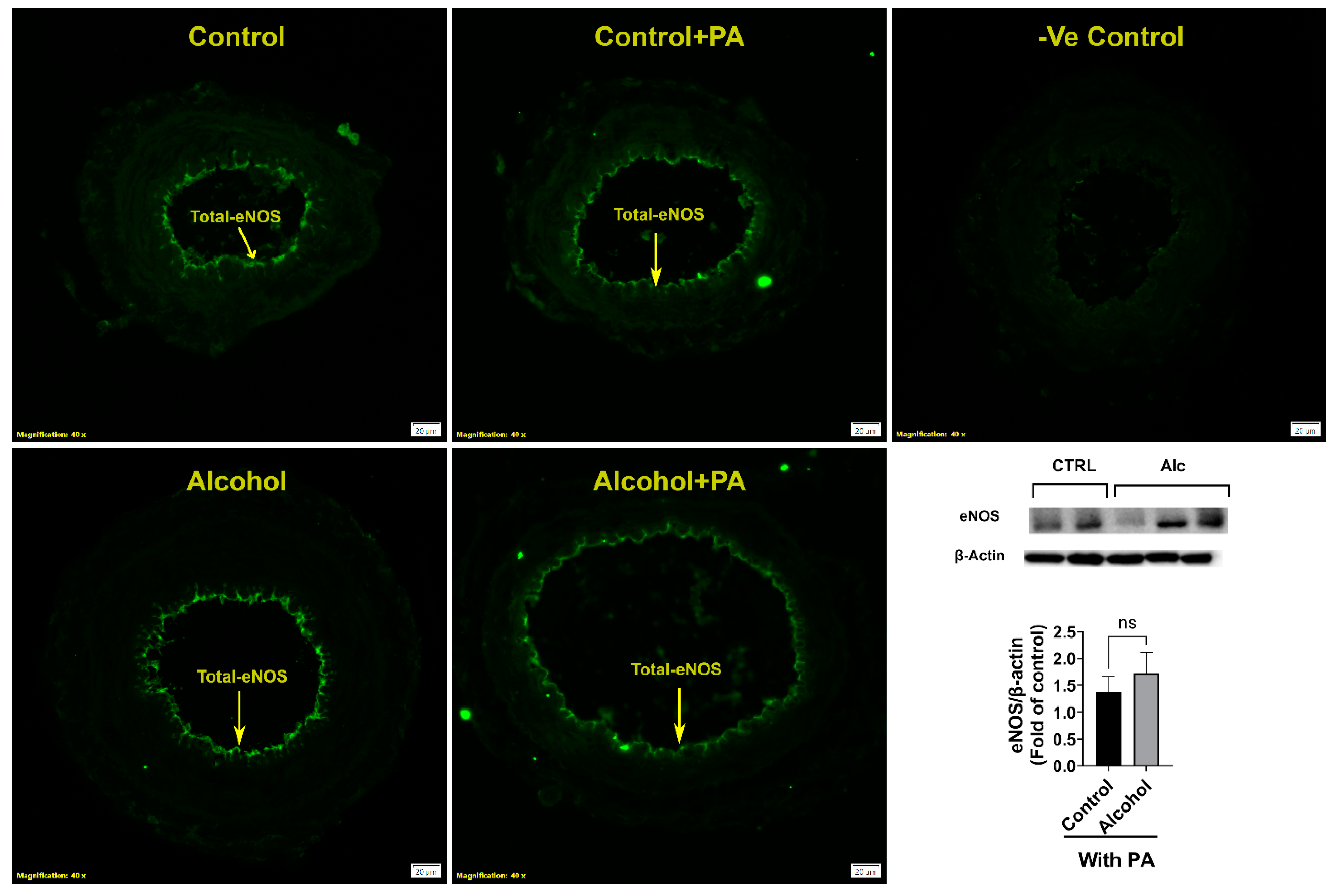 Nutrients 16 01409 g005