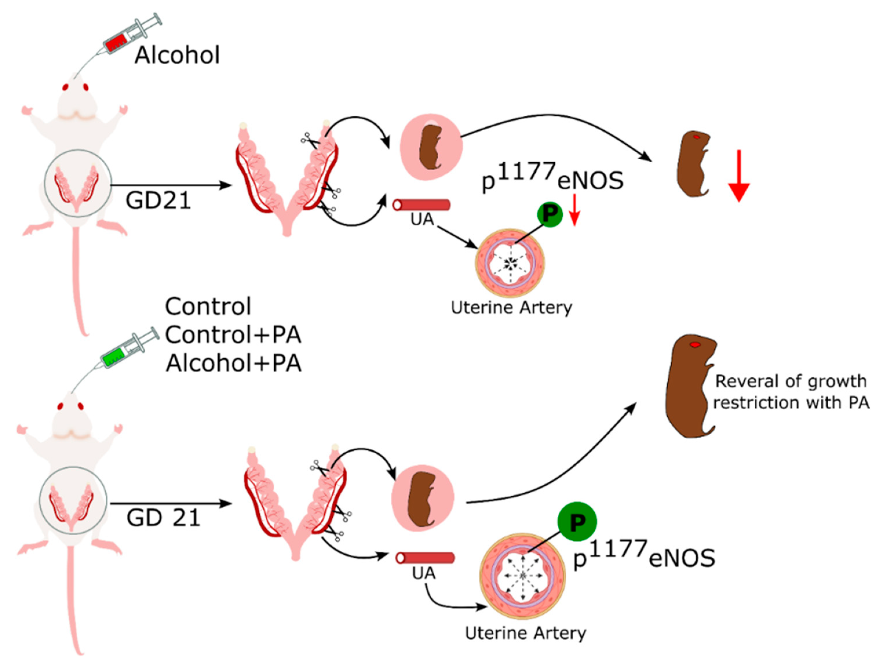 Nutrients 16 01409 g006