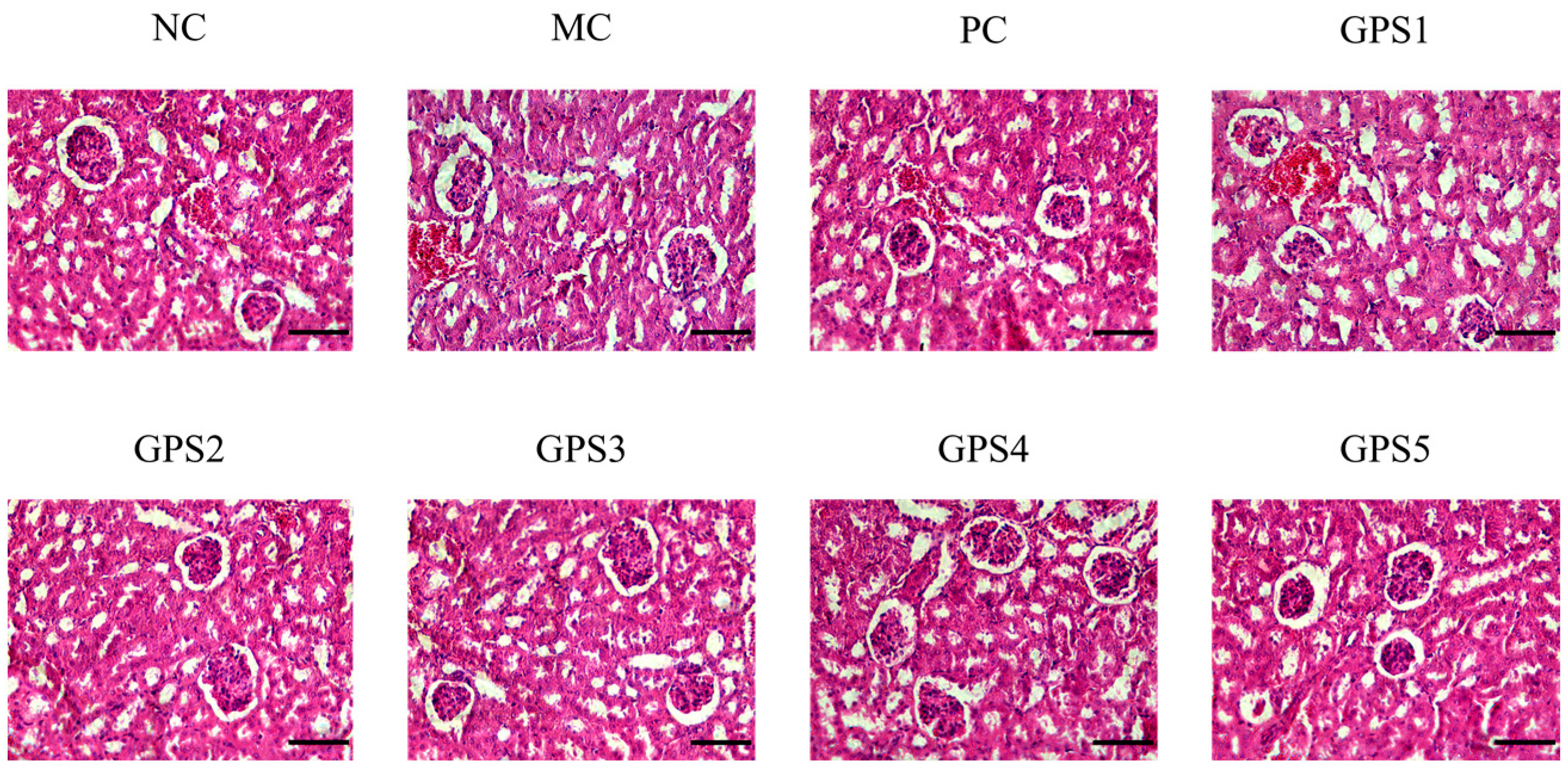 Nutrients 16 01416 g006