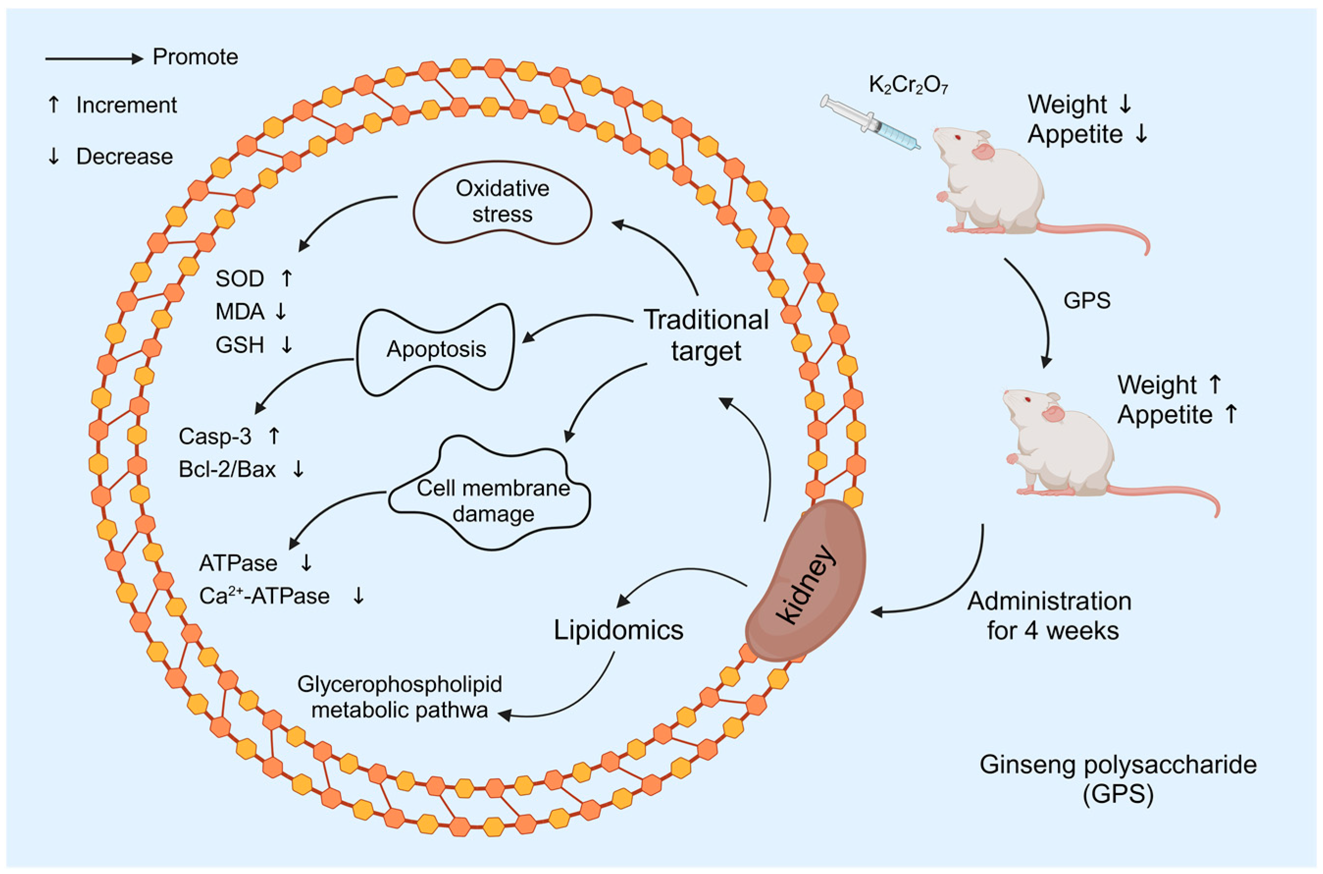 Nutrients 16 01416 g012