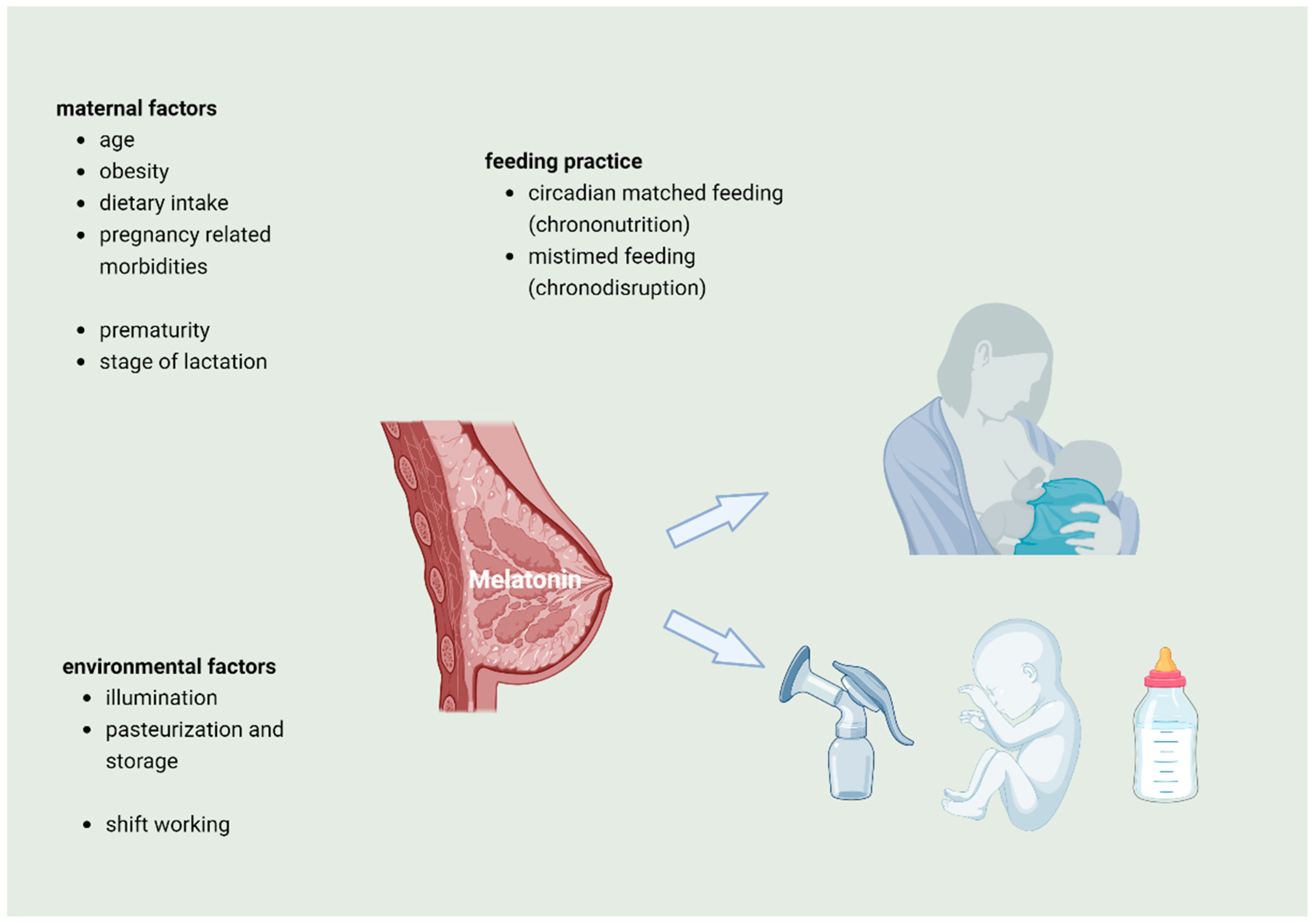 Nutrients 16 01422 g002