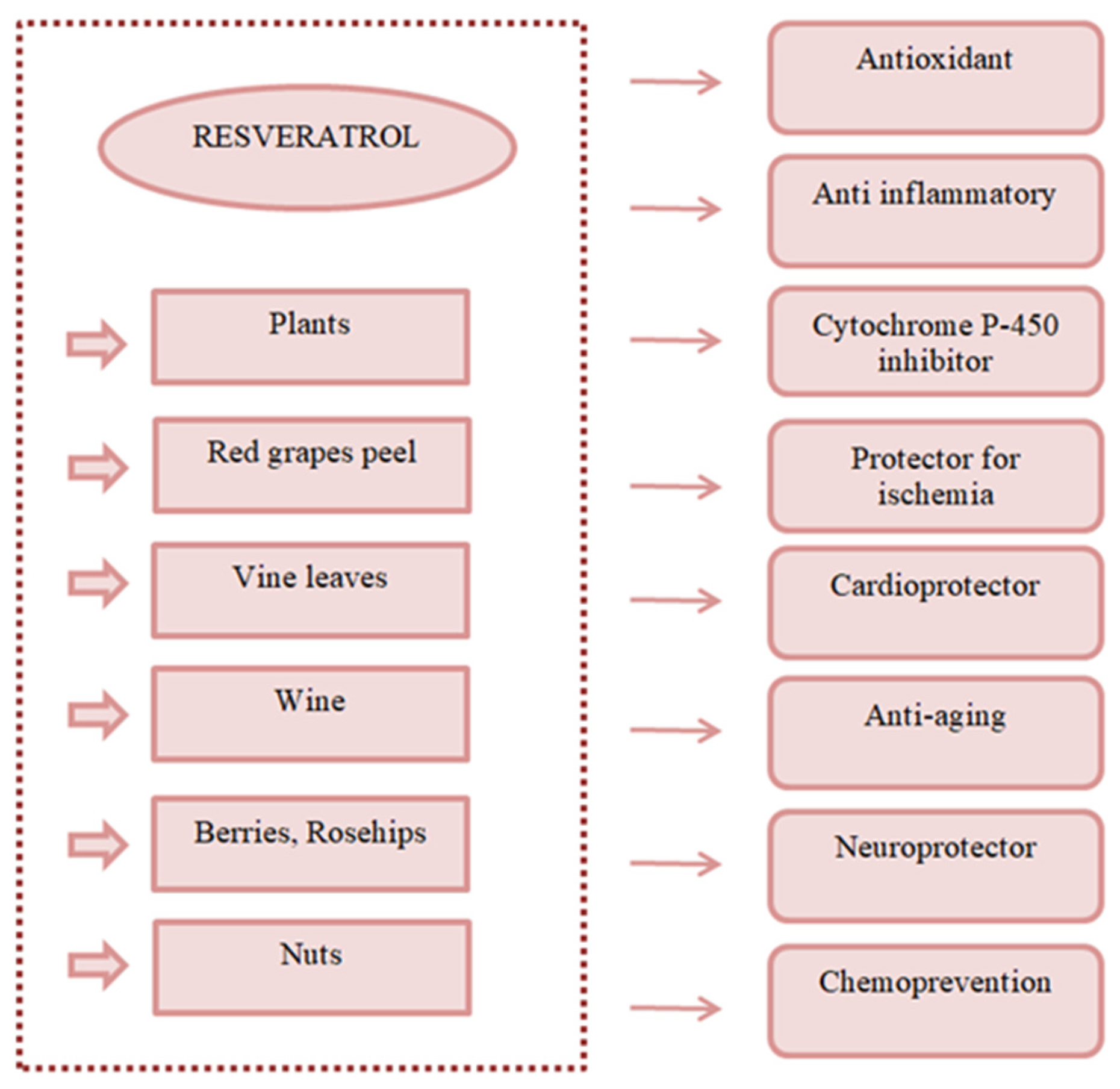 Nutrients 16 01439 g002