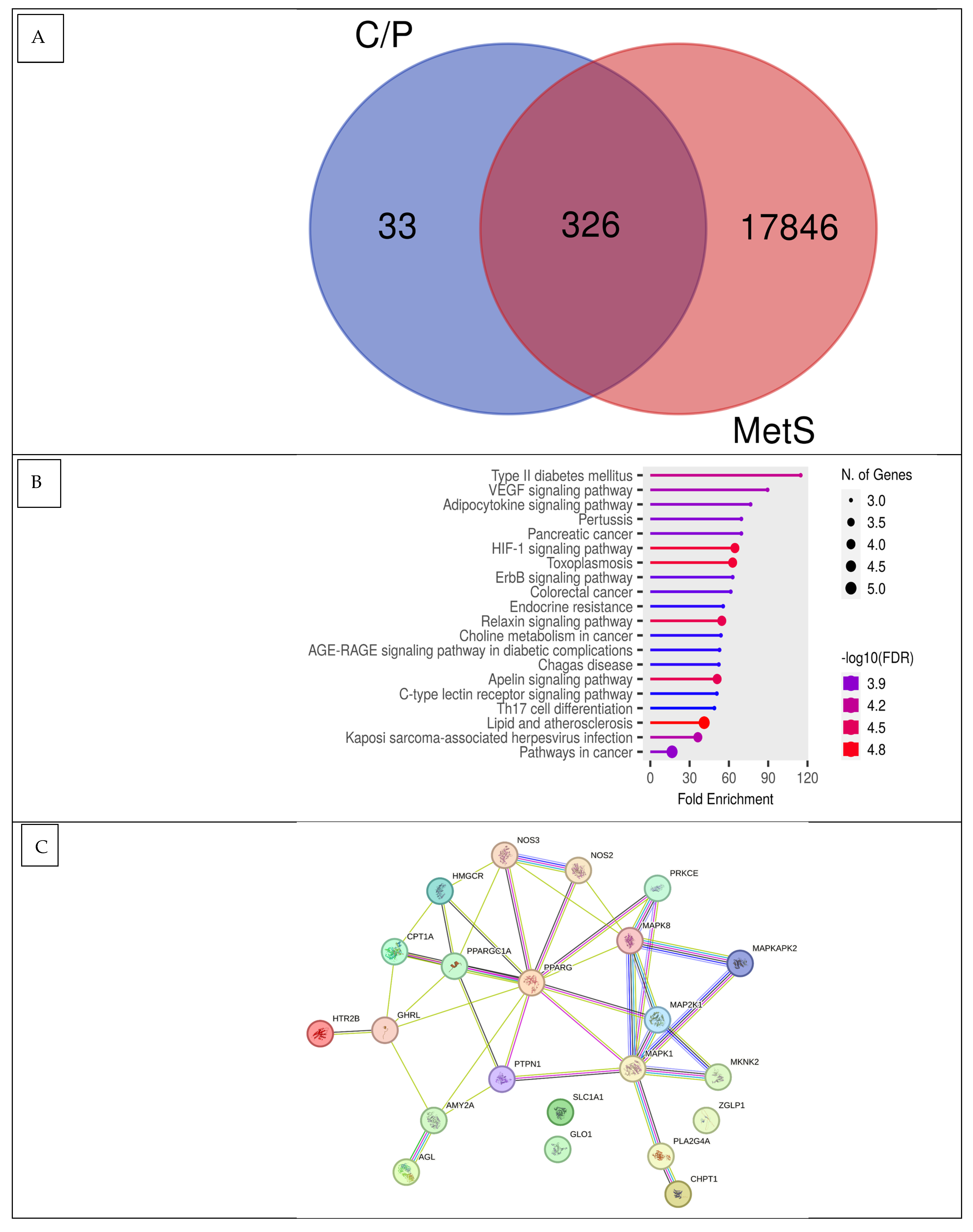 Nutrients 16 01441 g001 Nutrients 16 01441 g001