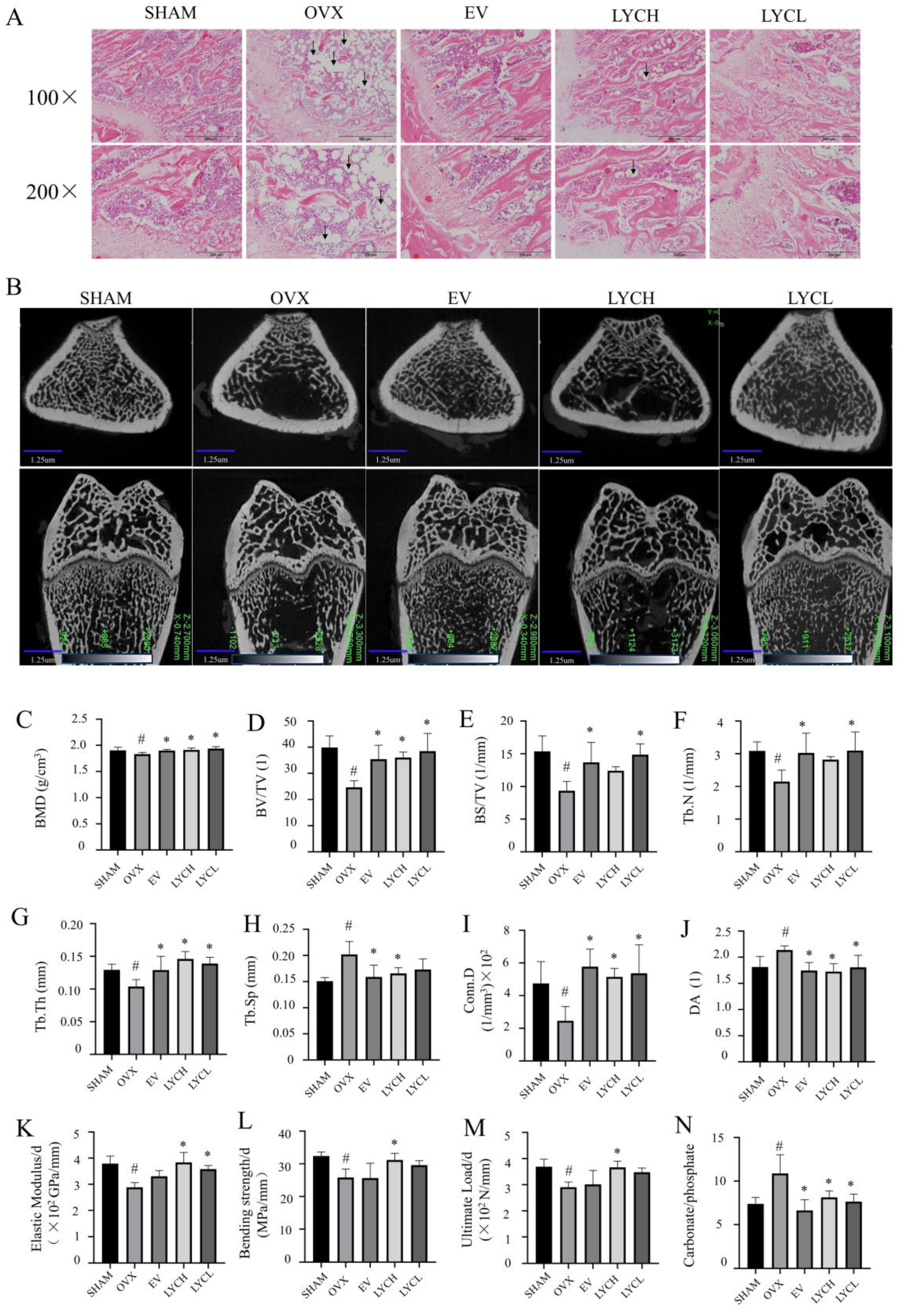 Nutrients 16 01443 g002