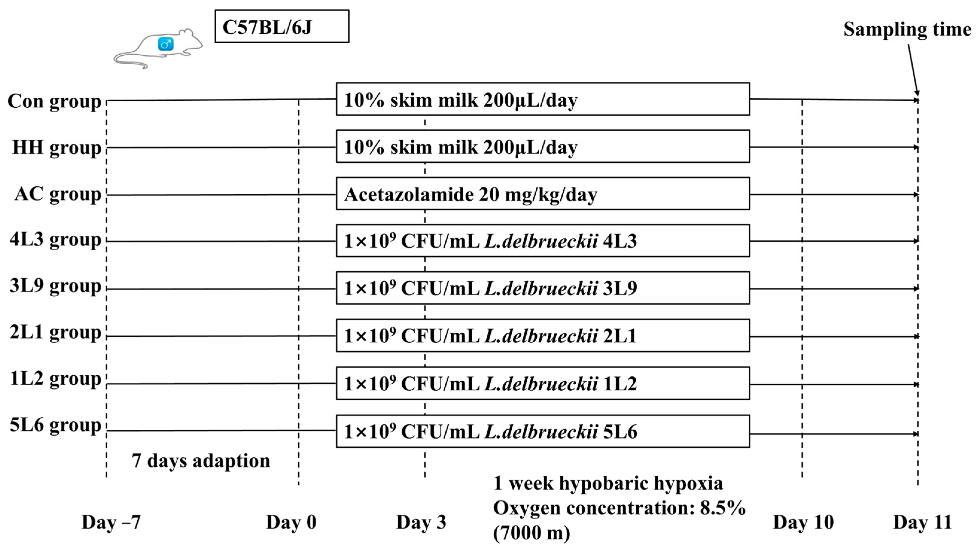 Nutrients 16 01465 g001 Nutrients 16 01465 g001