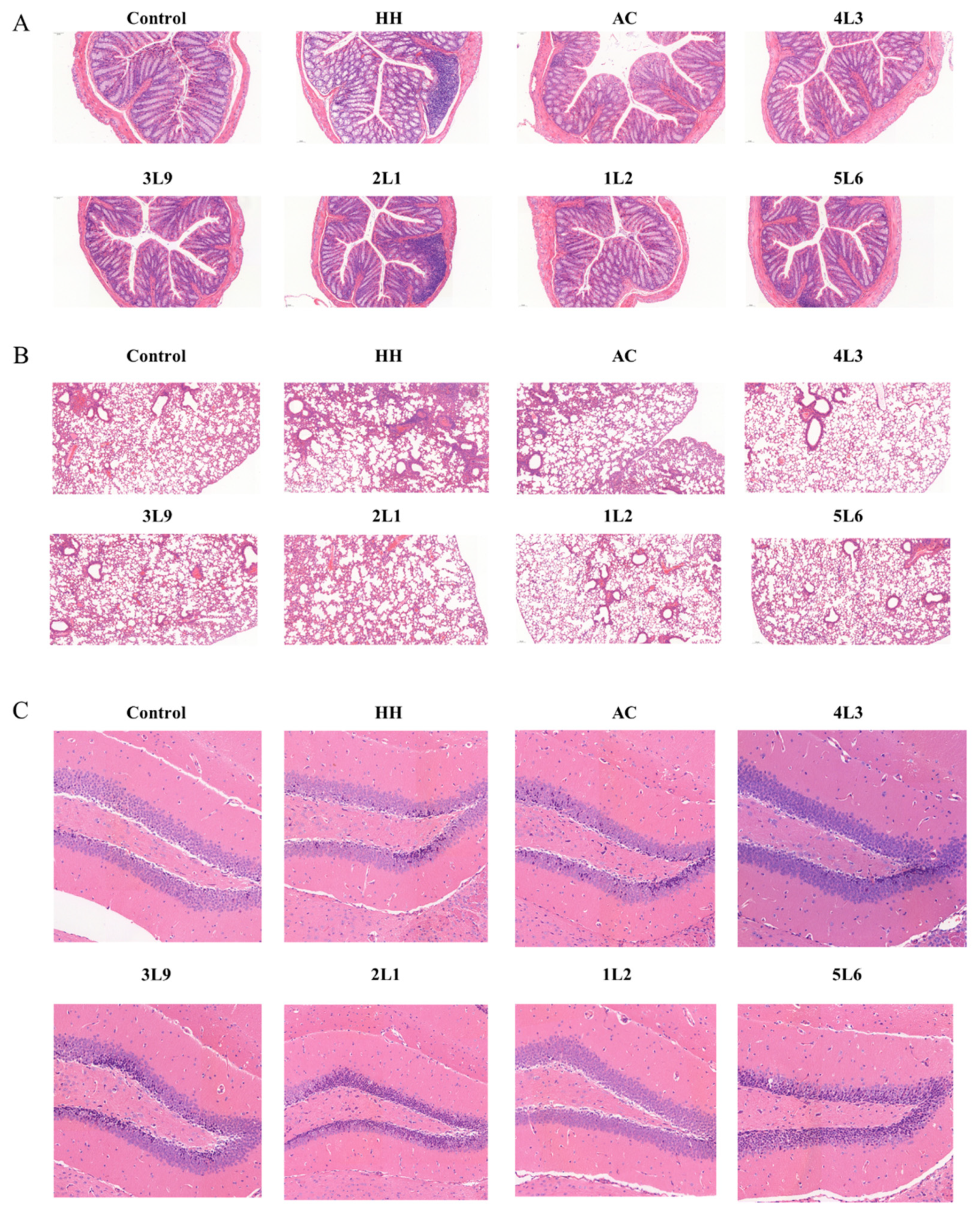 Nutrients 16 01465 g003 Nutrients 16 01465 g003