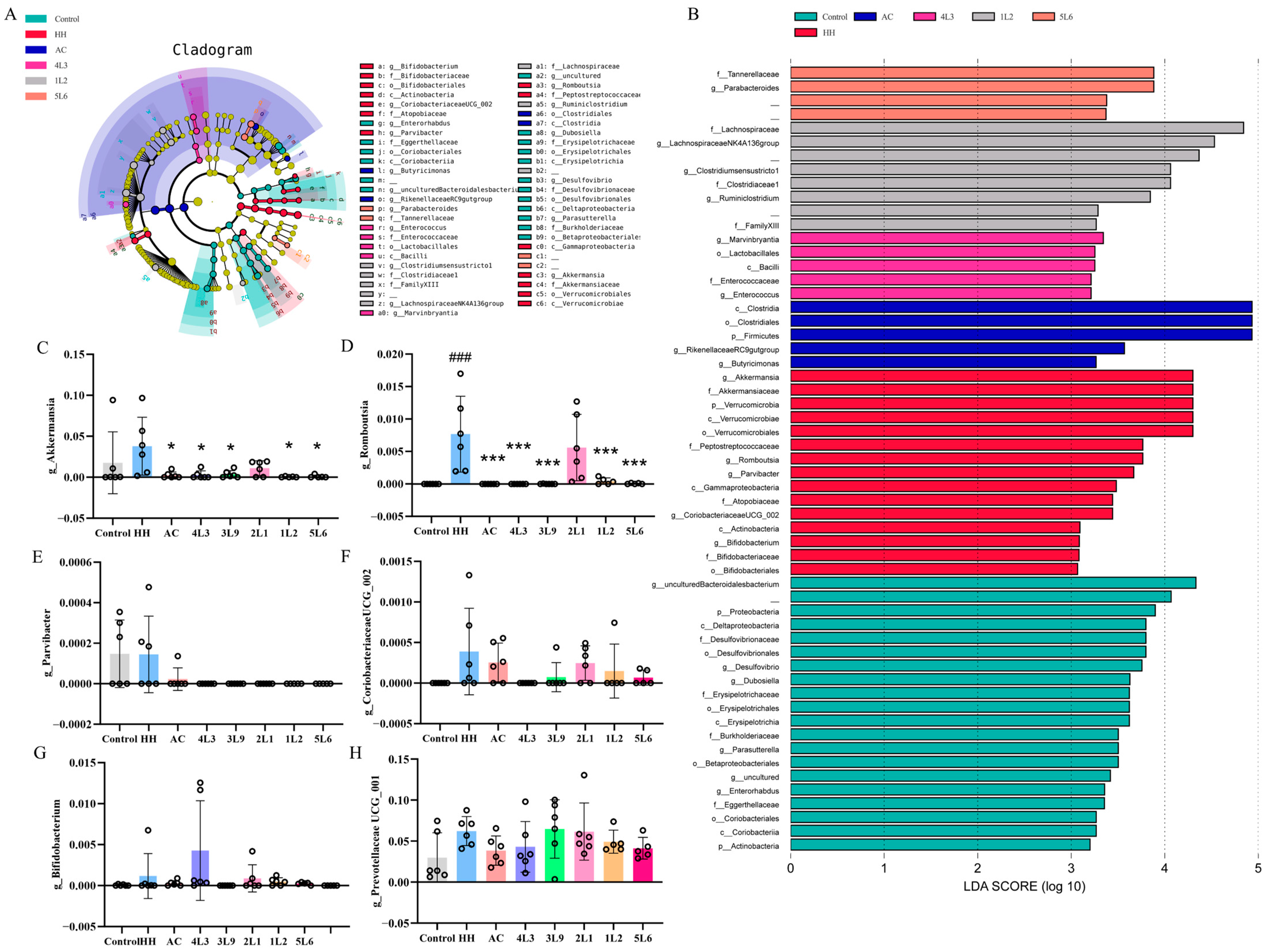 Nutrients 16 01465 g009 Nutrients 16 01465 g009