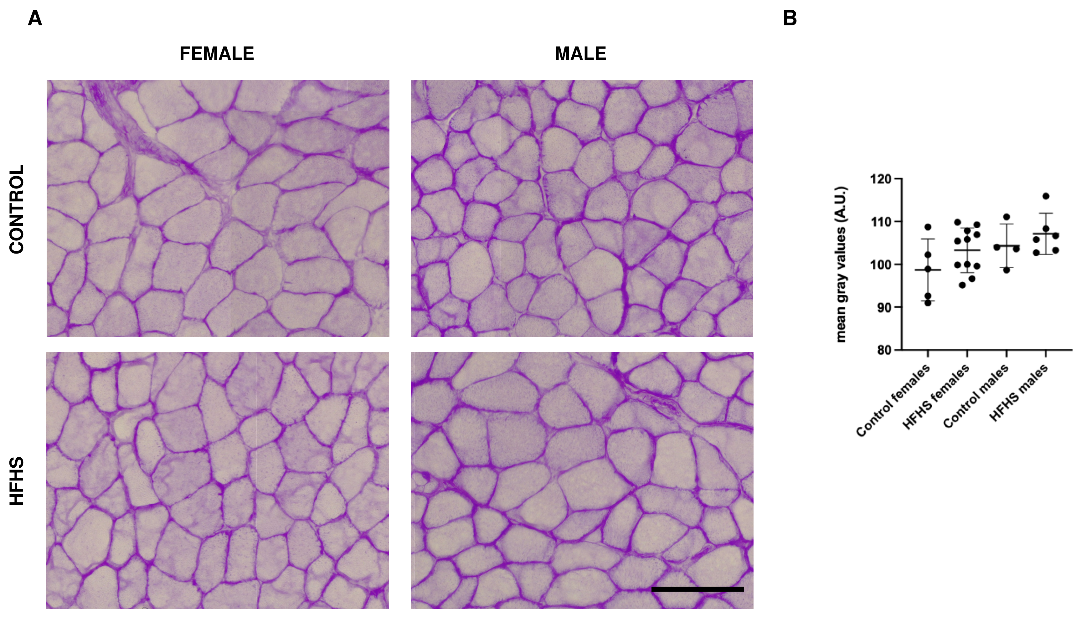 Nutrients 16 01467 g002