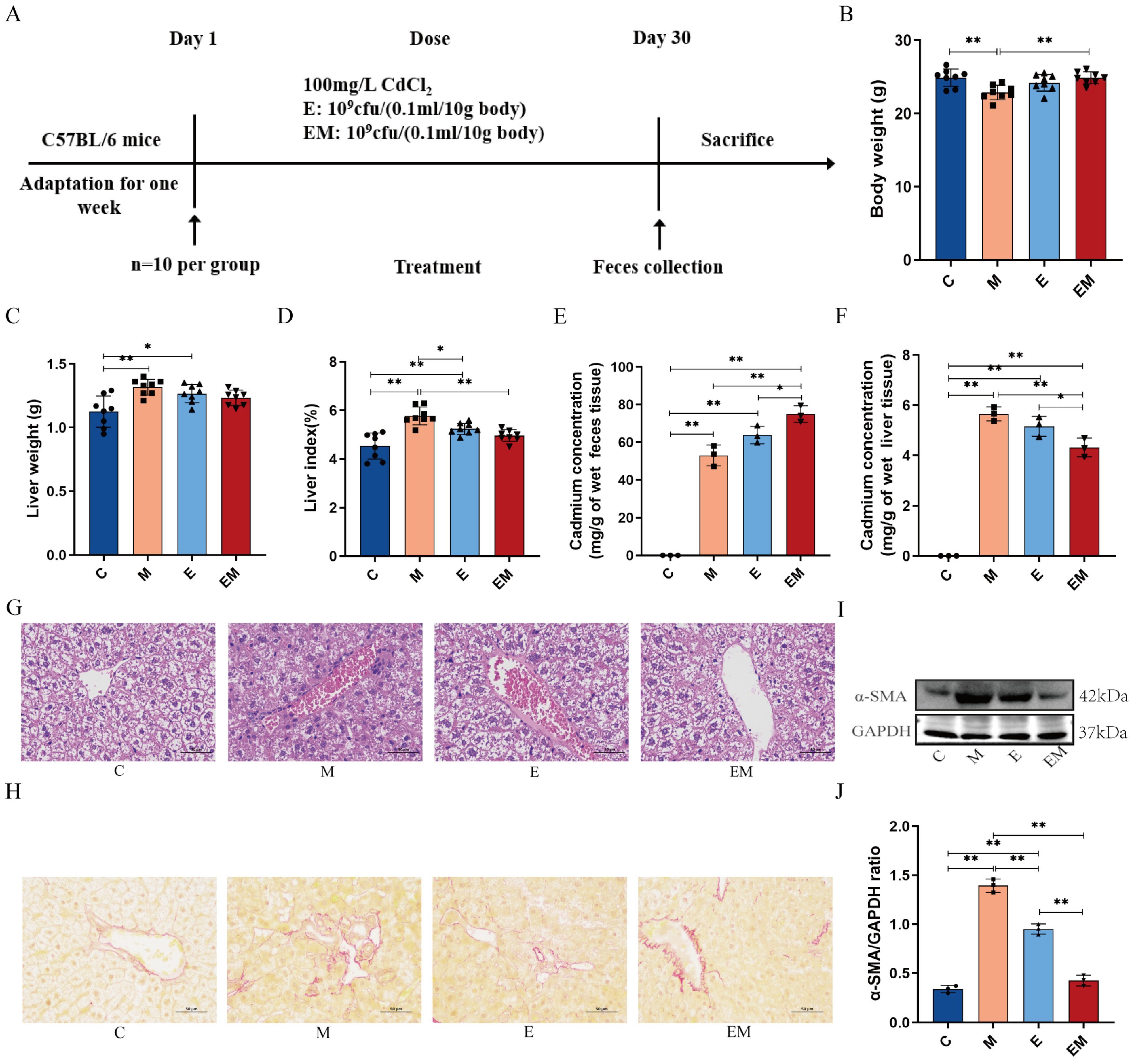 Nutrients 16 01468 g002