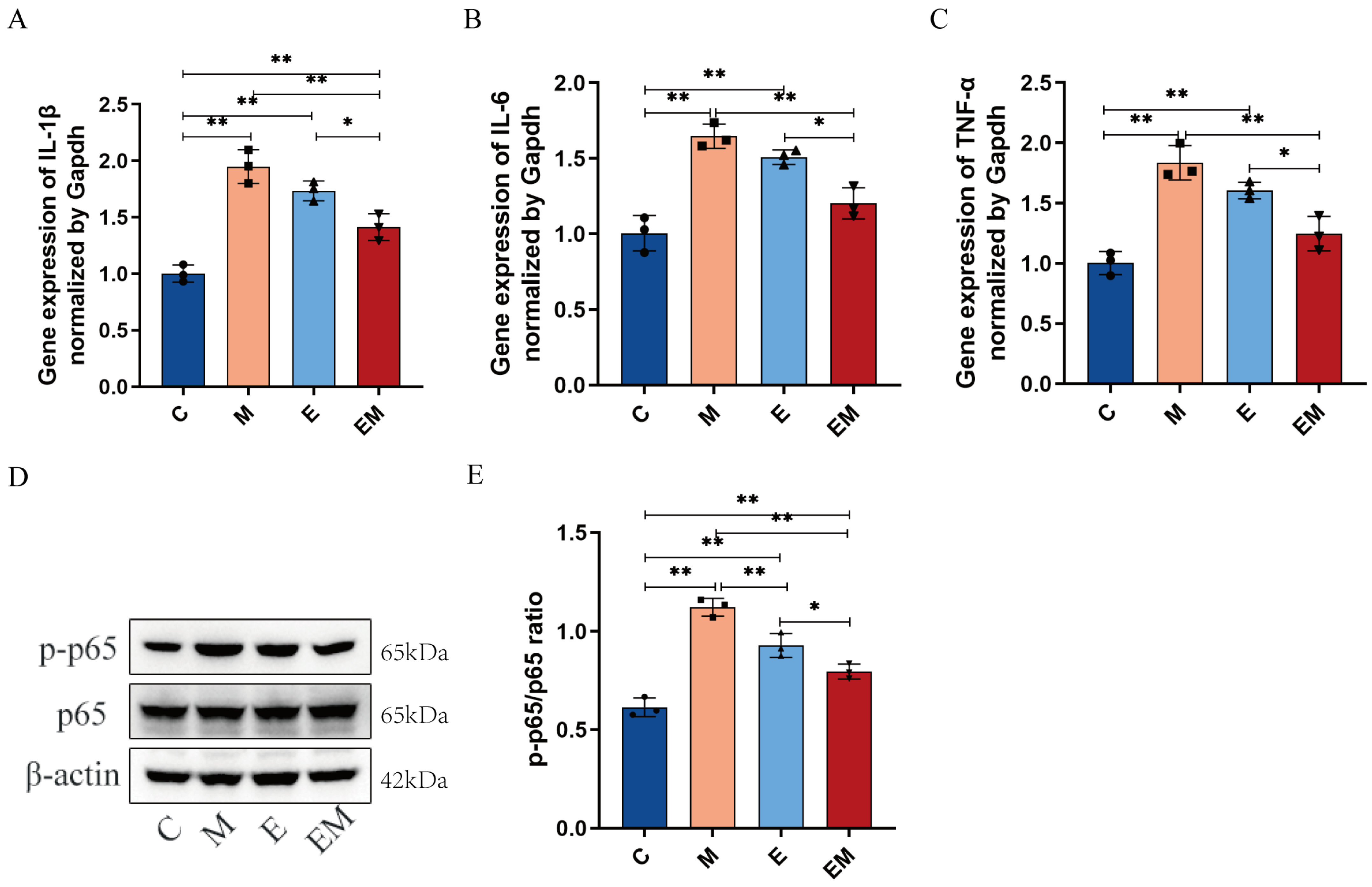 Nutrients 16 01468 g004
