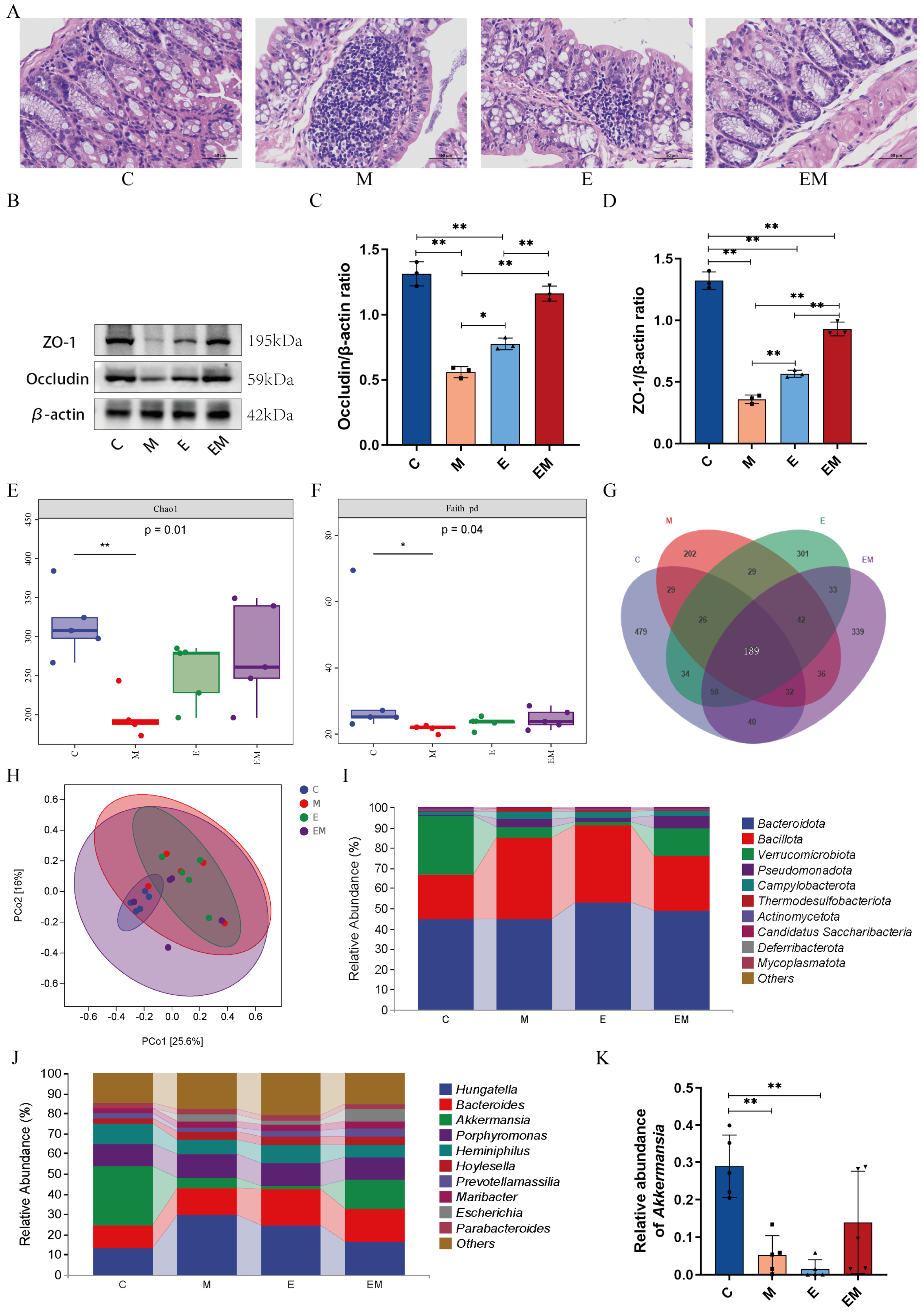 Nutrients 16 01468 g005