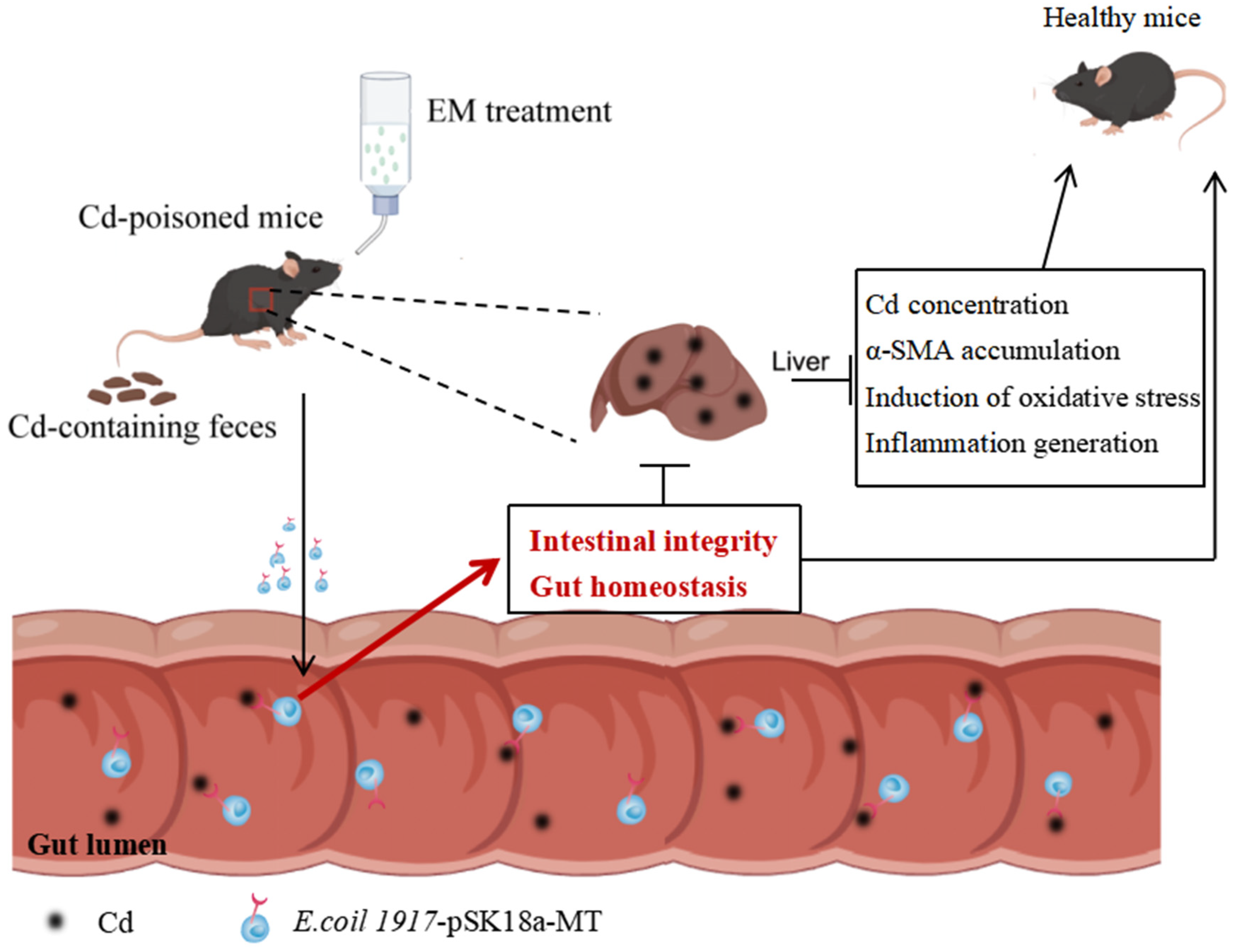 Nutrients 16 01468 g006